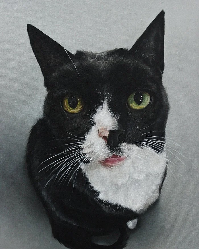 Oil painting of Abby, the tuxedo cat with huge  green eyes, alongside her testimonial.