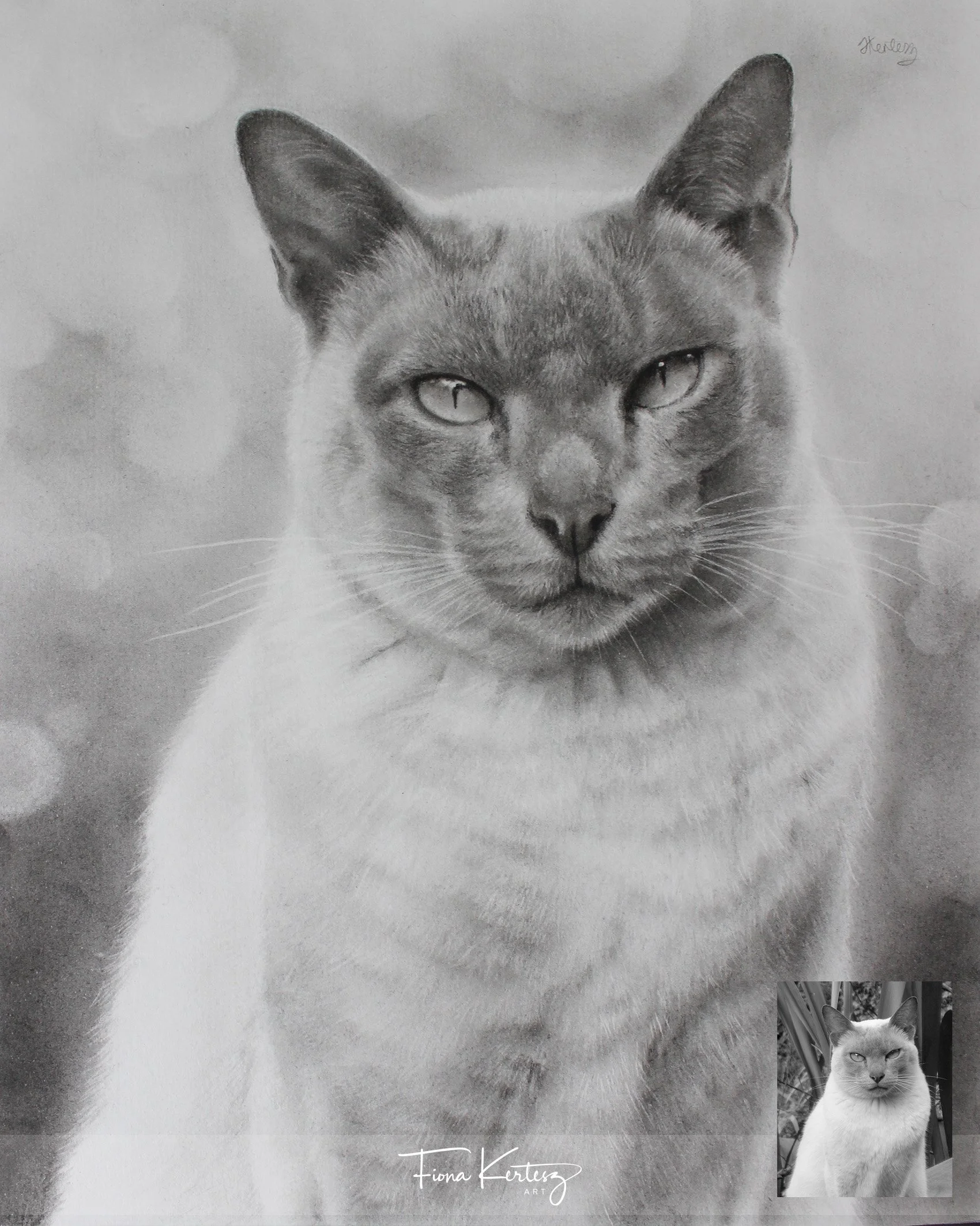 Alice, 8 x 10"