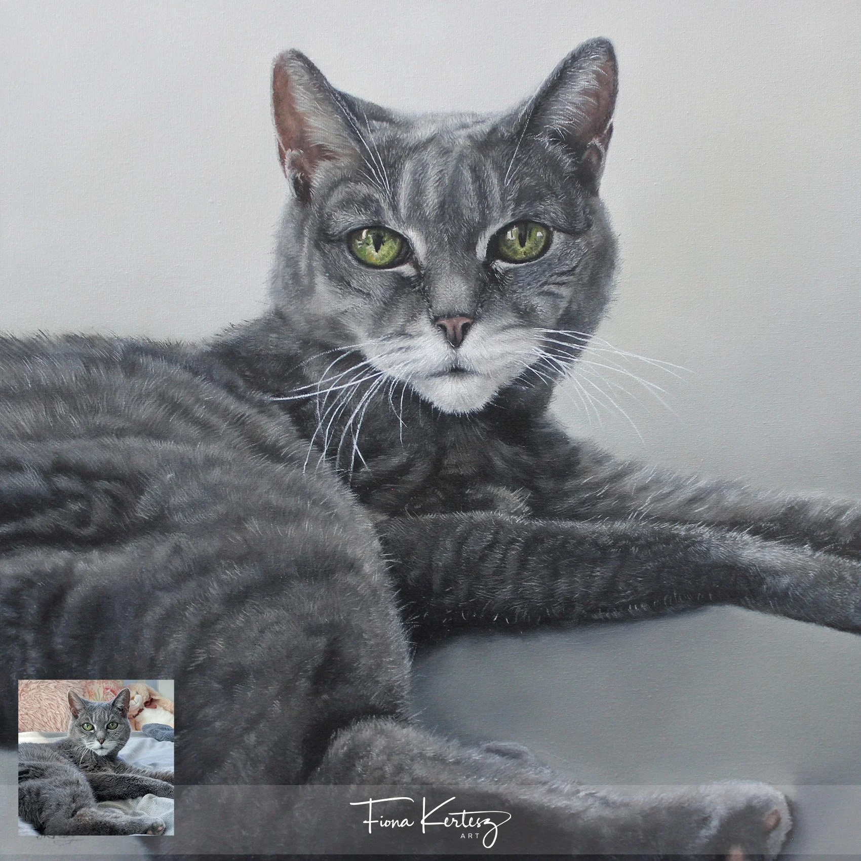 Tabby, 14 x 14"