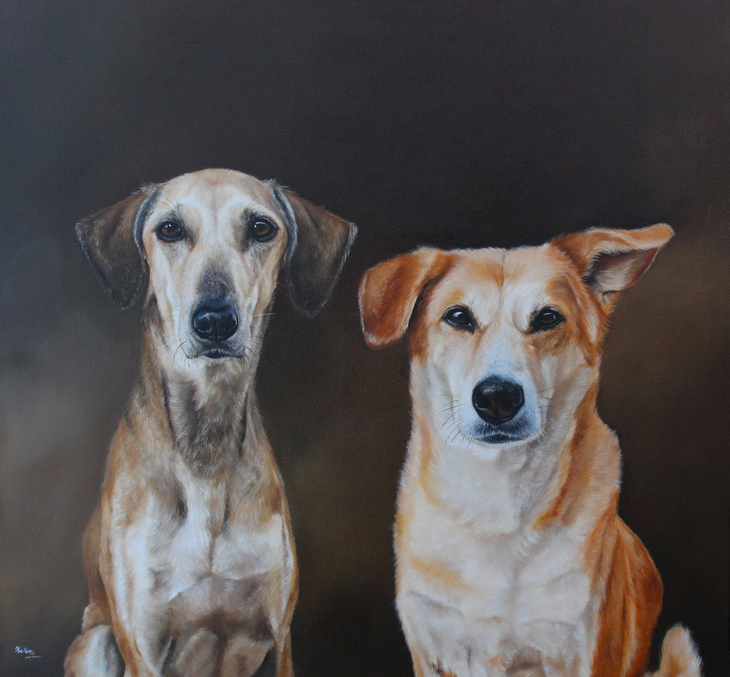 Oil Pet Portraits and Process