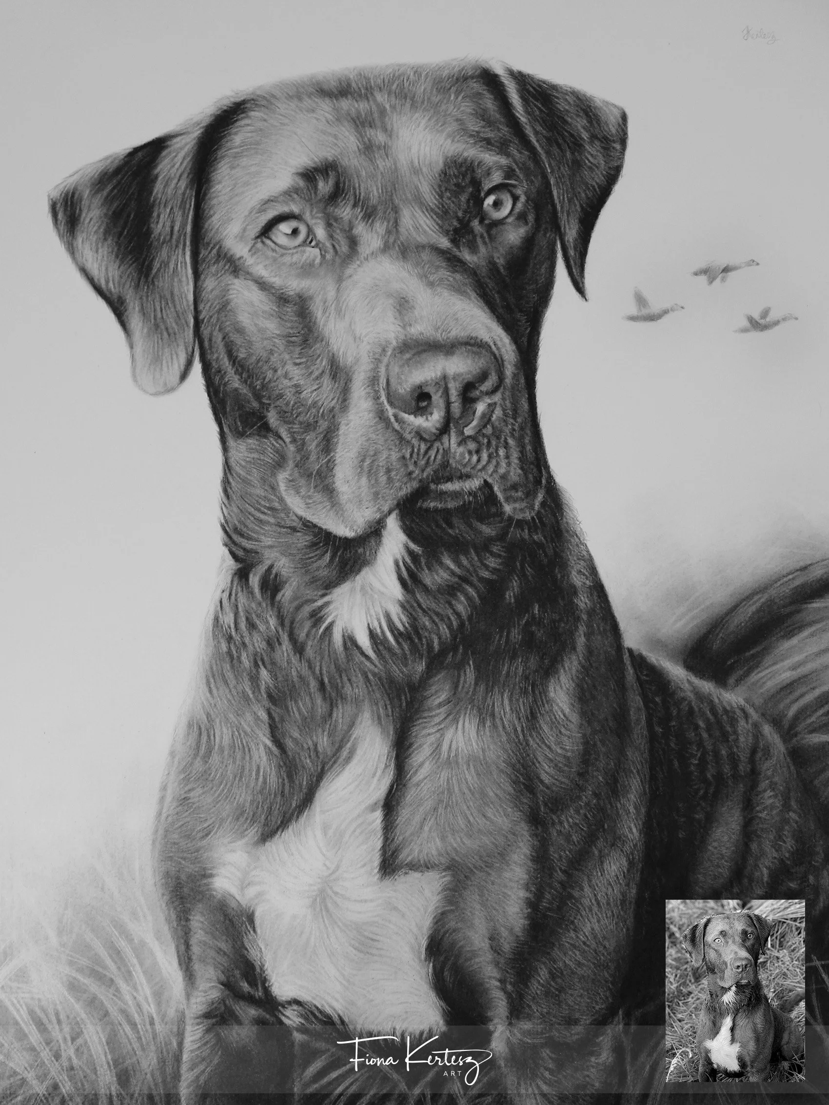 Mia, 12 x 16"
