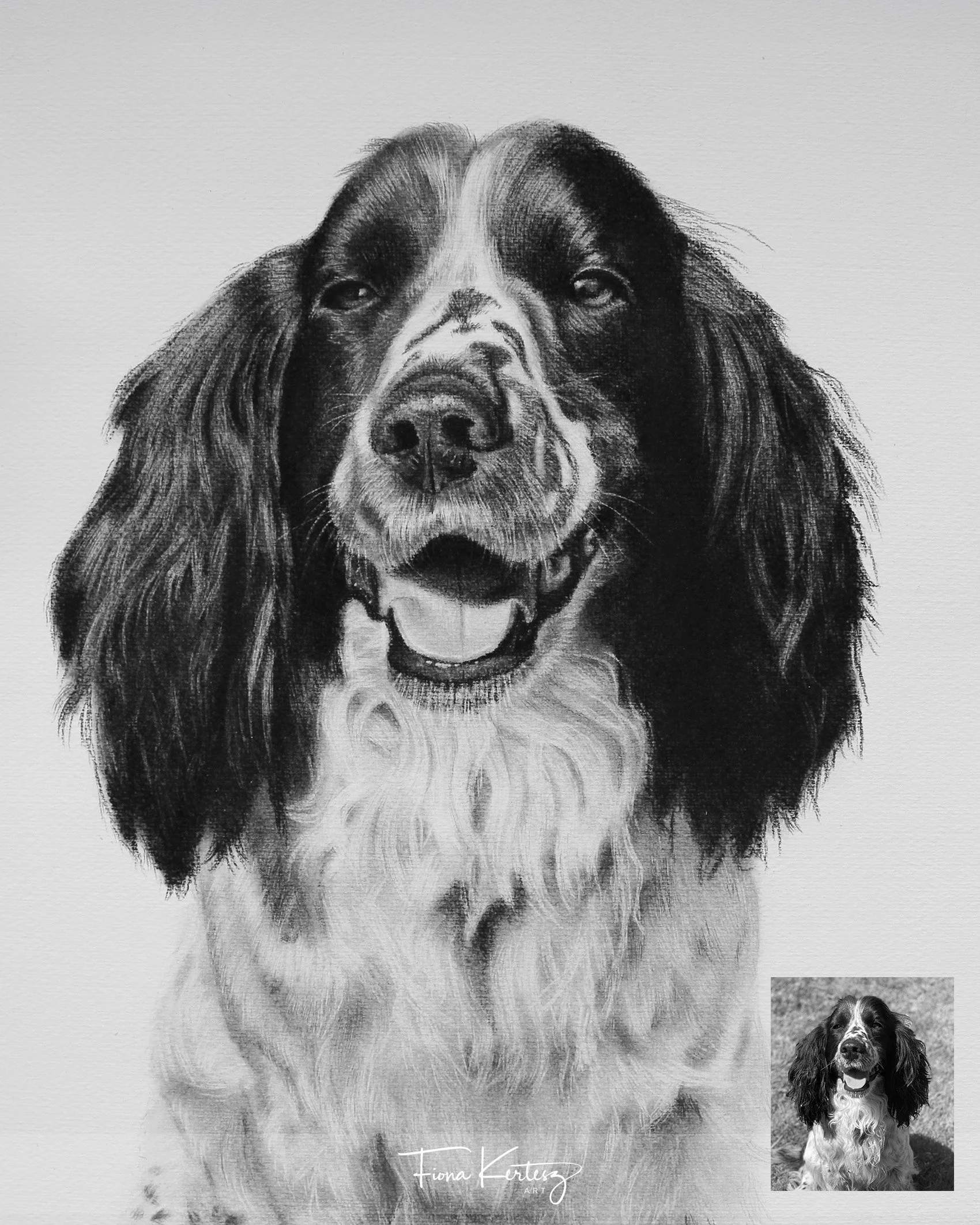 Millie, 12 x 14"