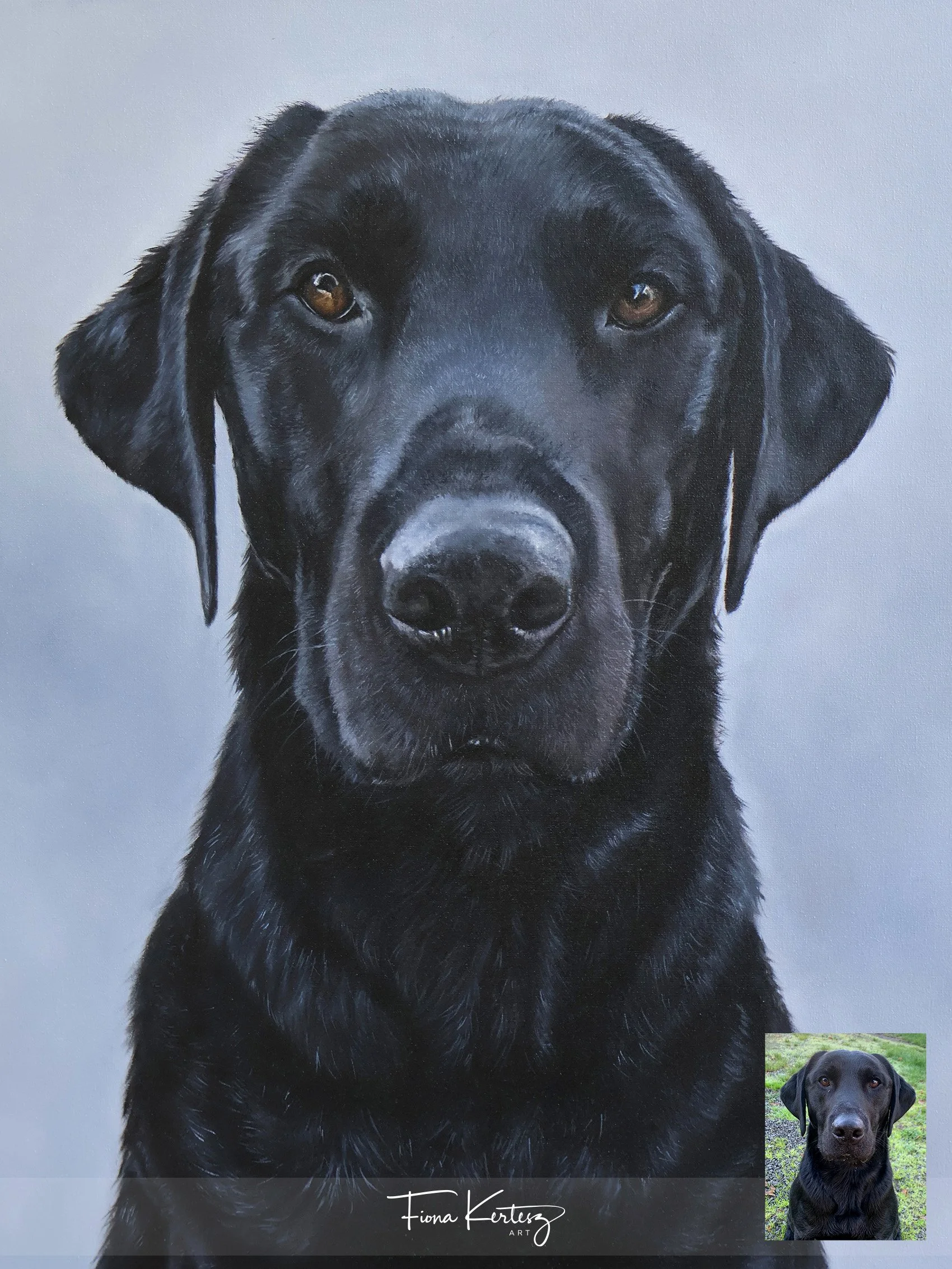 Arlo, 18 x 14"
