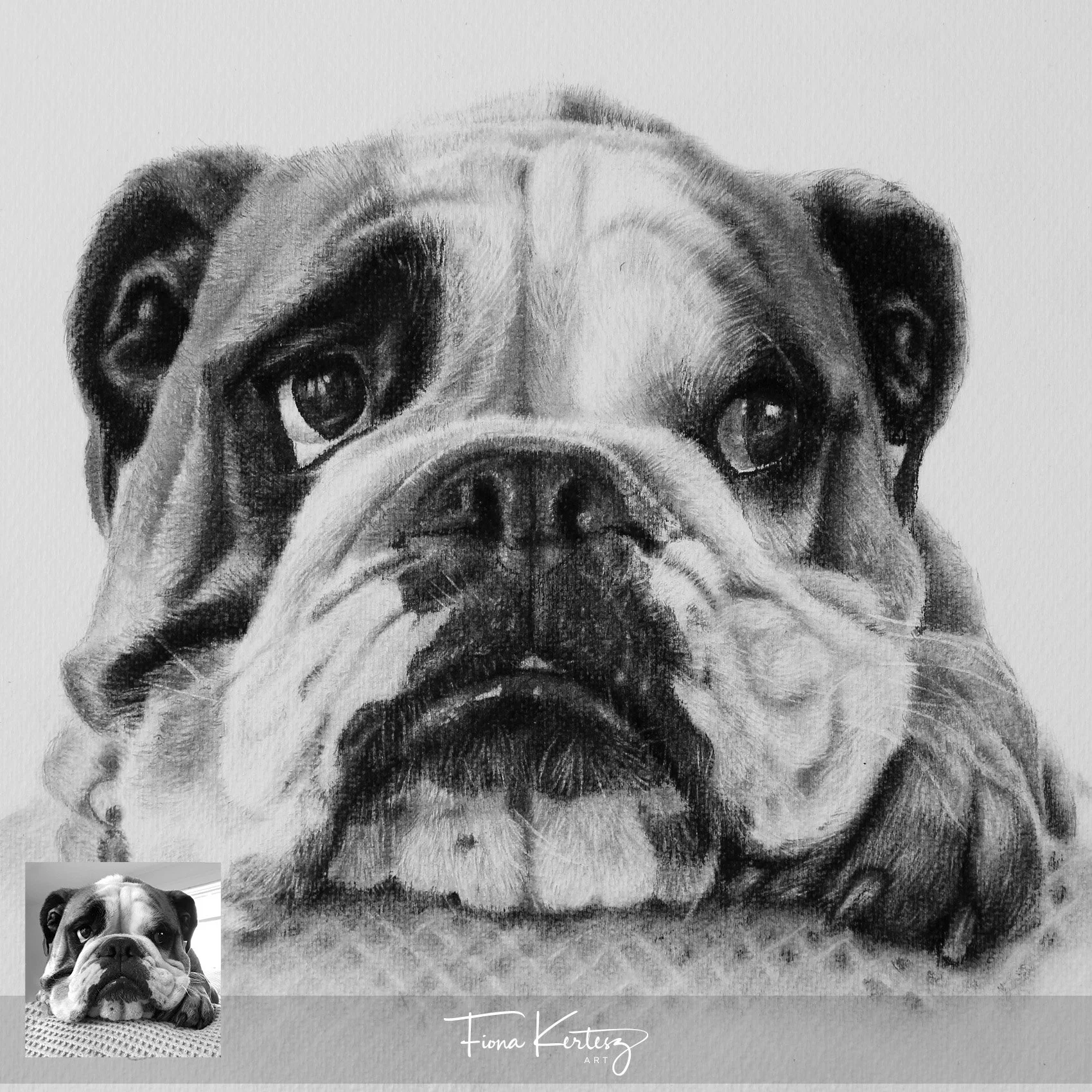Winston, 9 x 9"