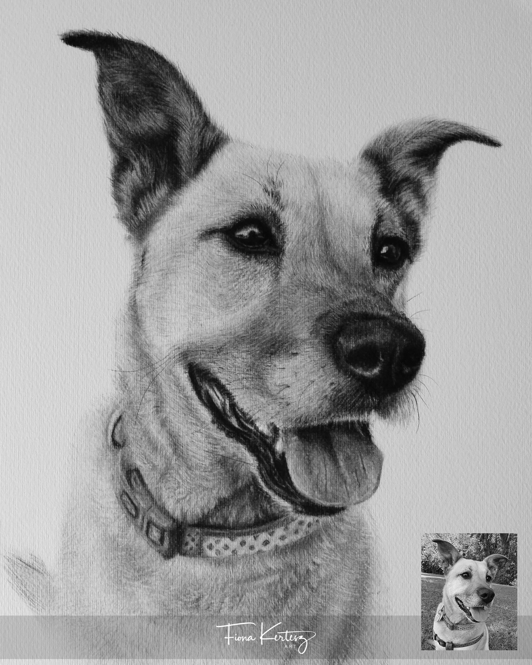 Cleo, 10 x 12"