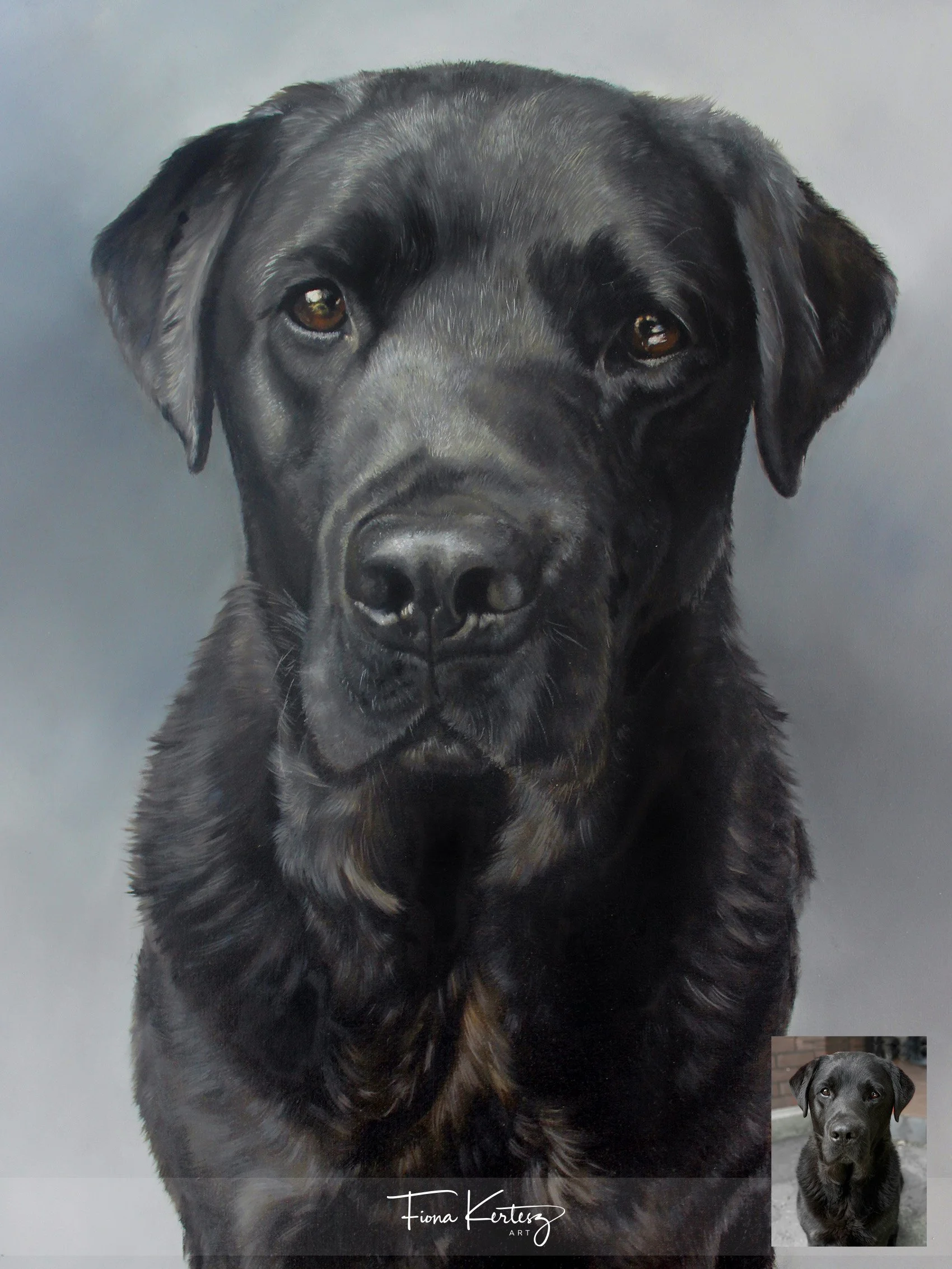 Frank, 18 x 14"