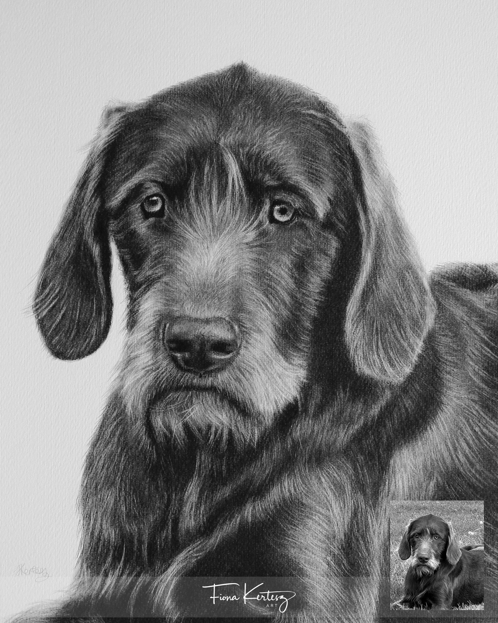Chloe, 12 x 14"