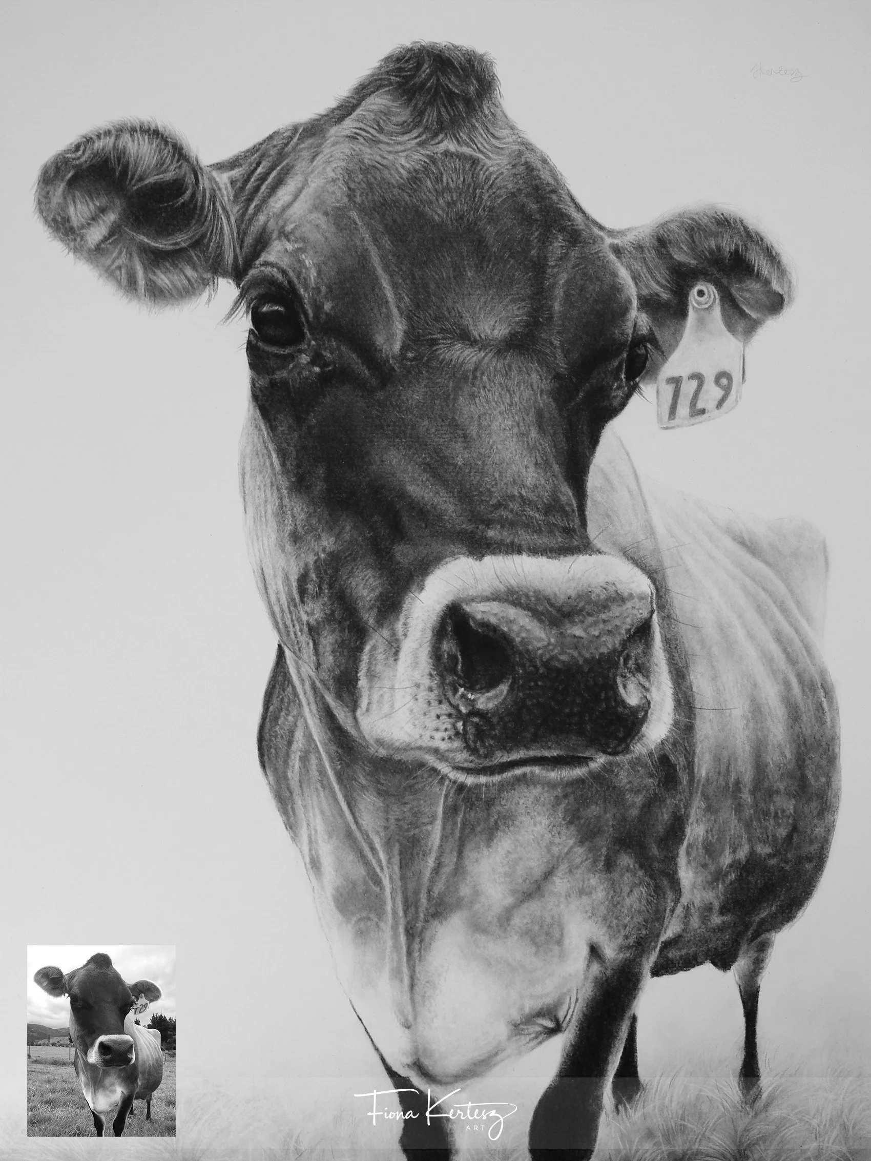 Kunis, 12 x 16"