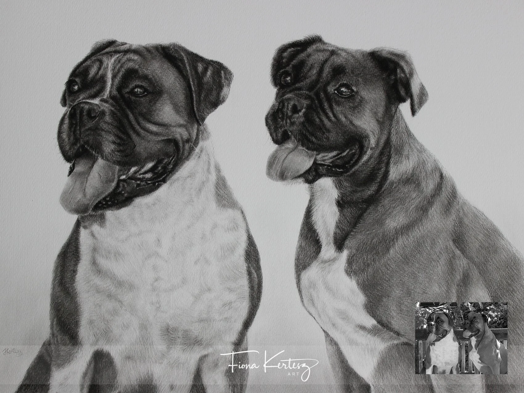 Indy & Savannah, 18 x 14"
