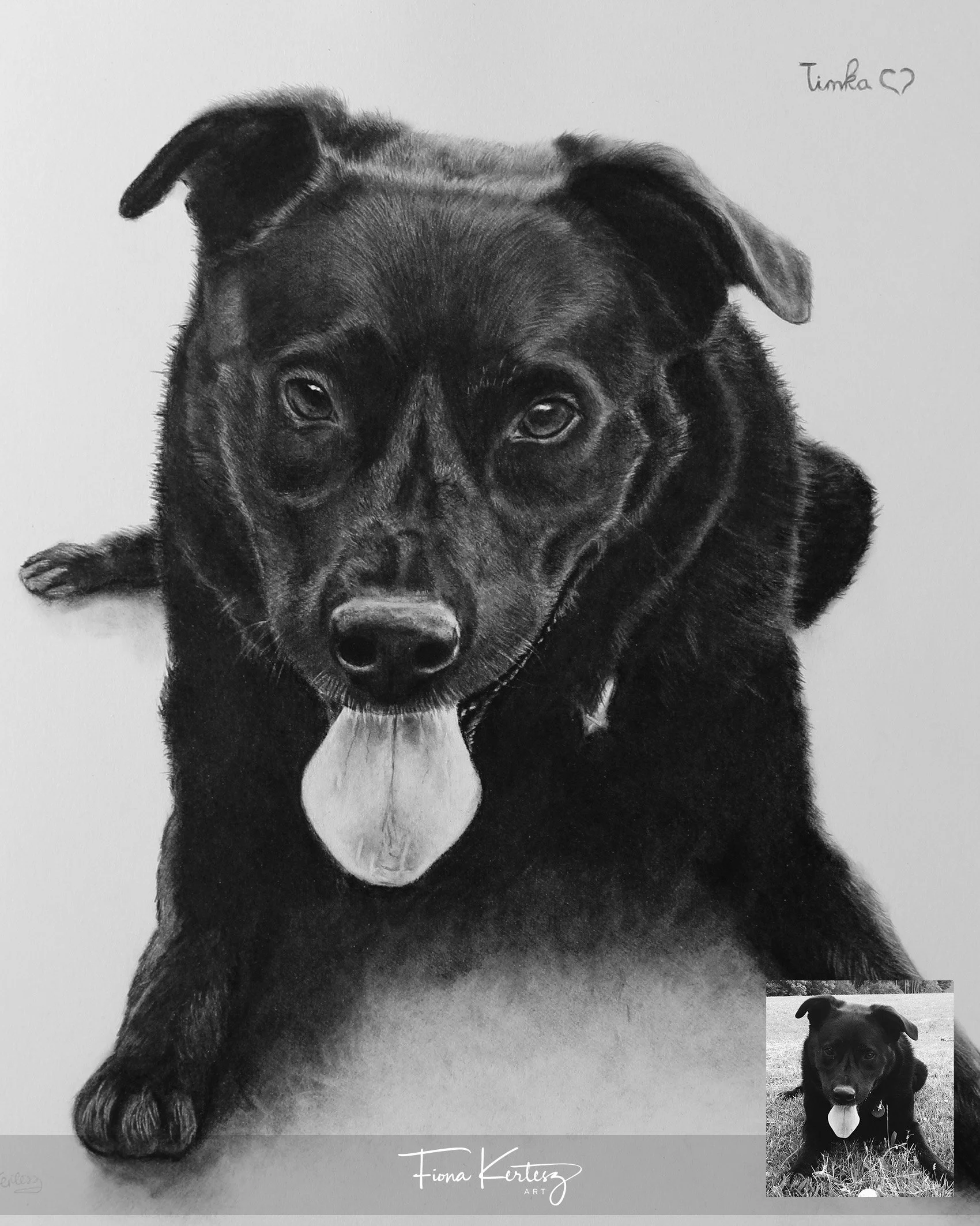 Timka, 13 x 15"