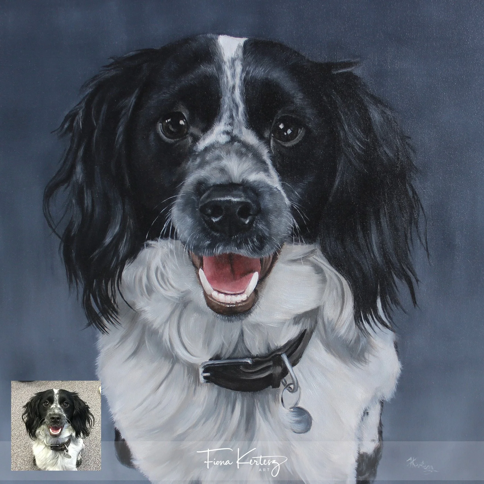 Archie, 16 x 16"