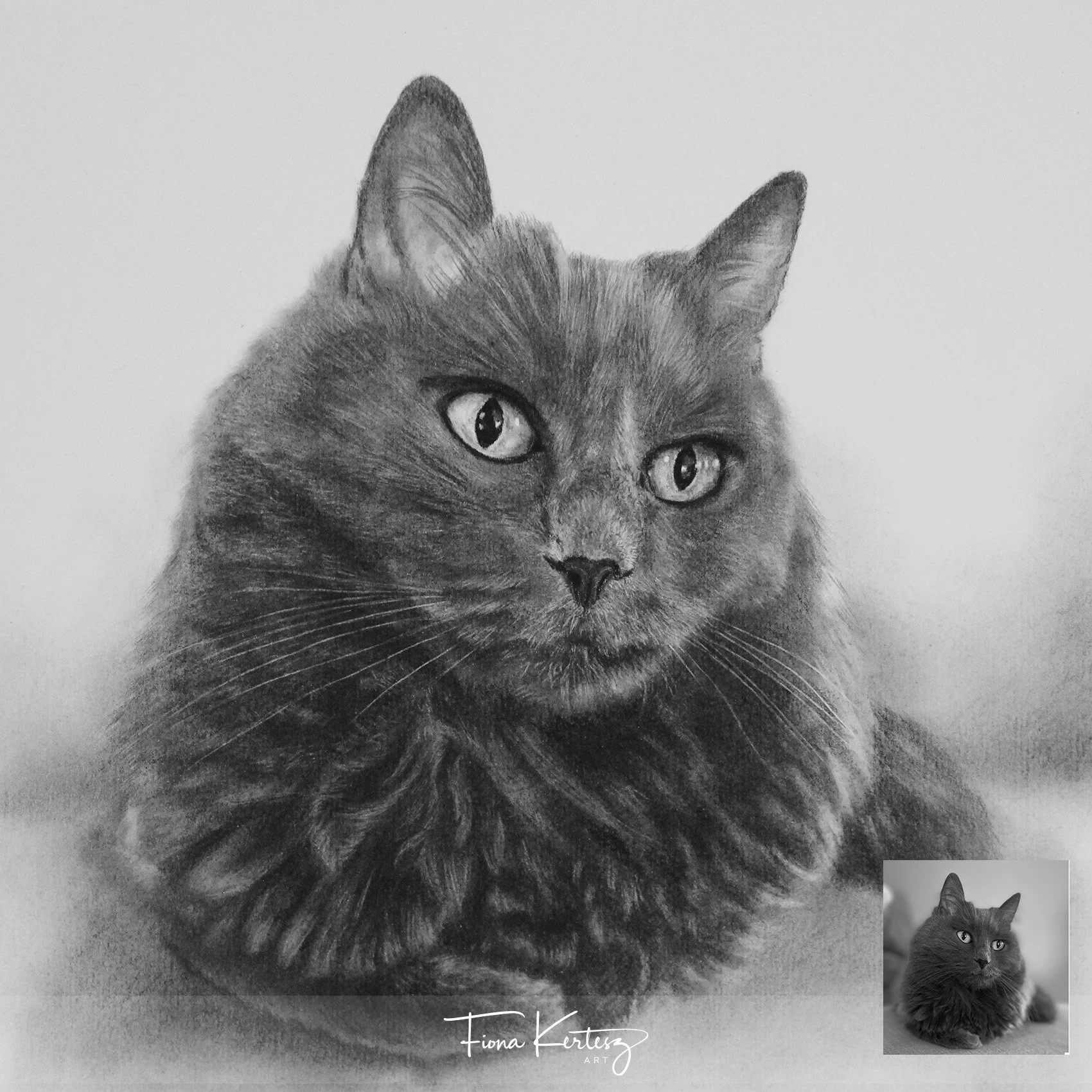 Hattie, 10 x 10"