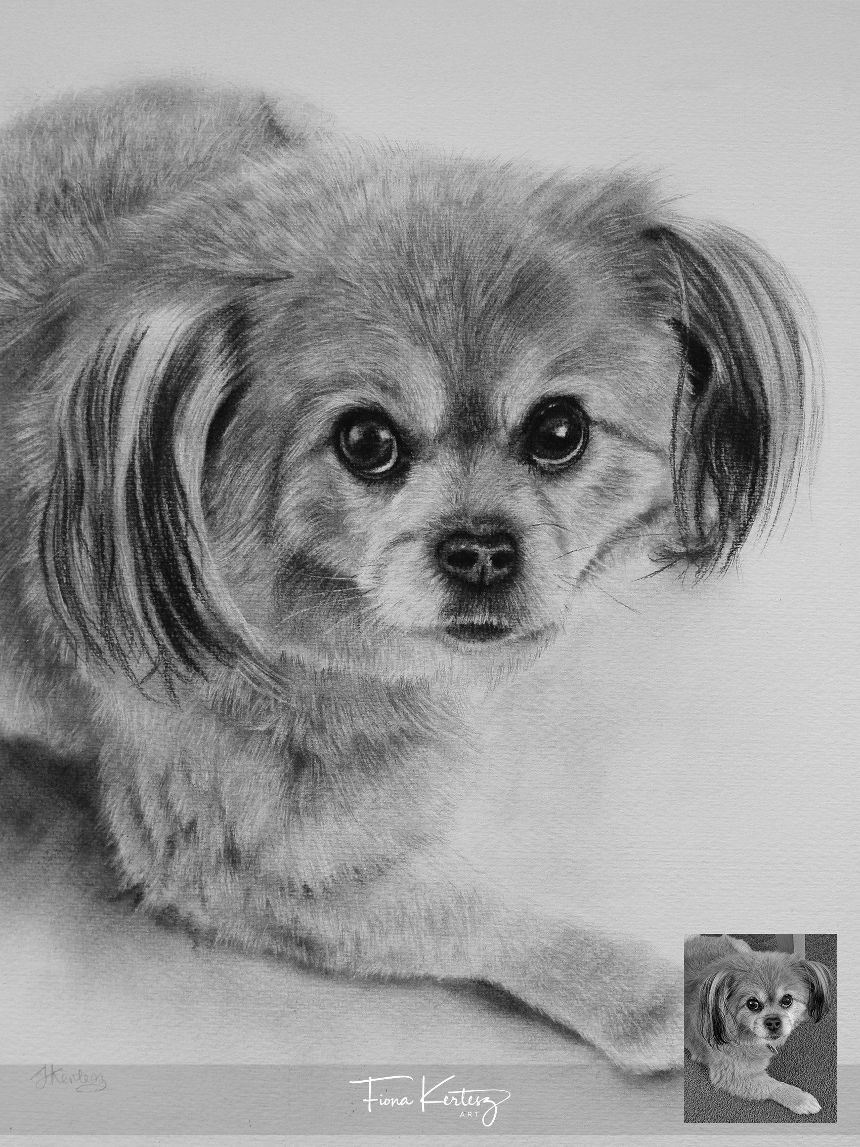 Pickles, 10 x 12"