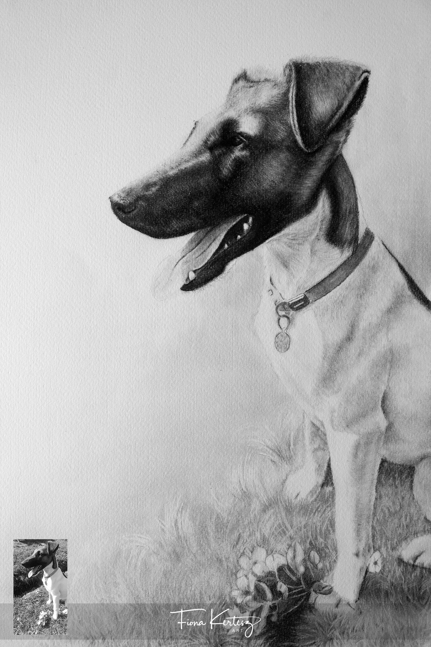 Dot, 16 x 13"