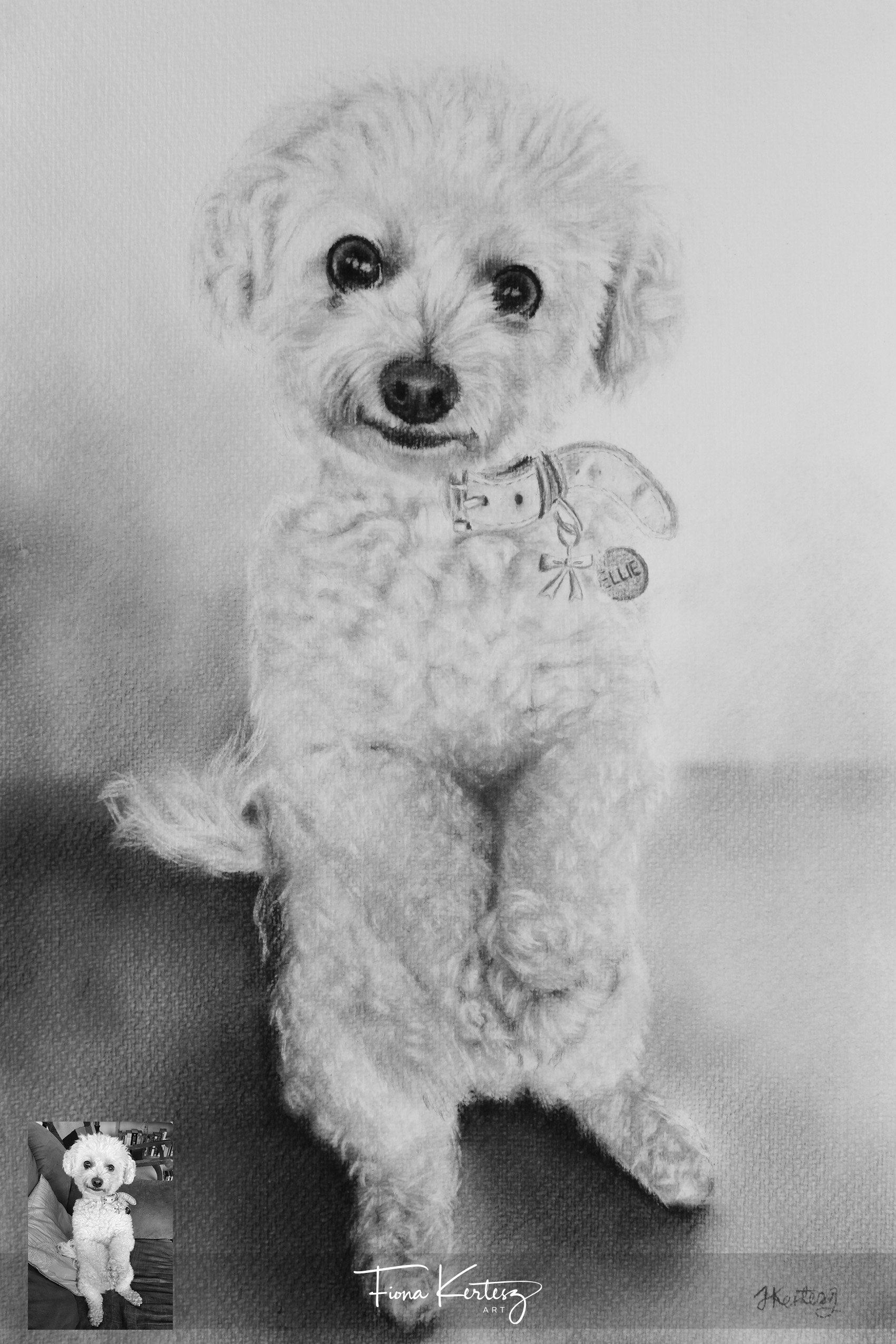 Ellie, 9 x 13"