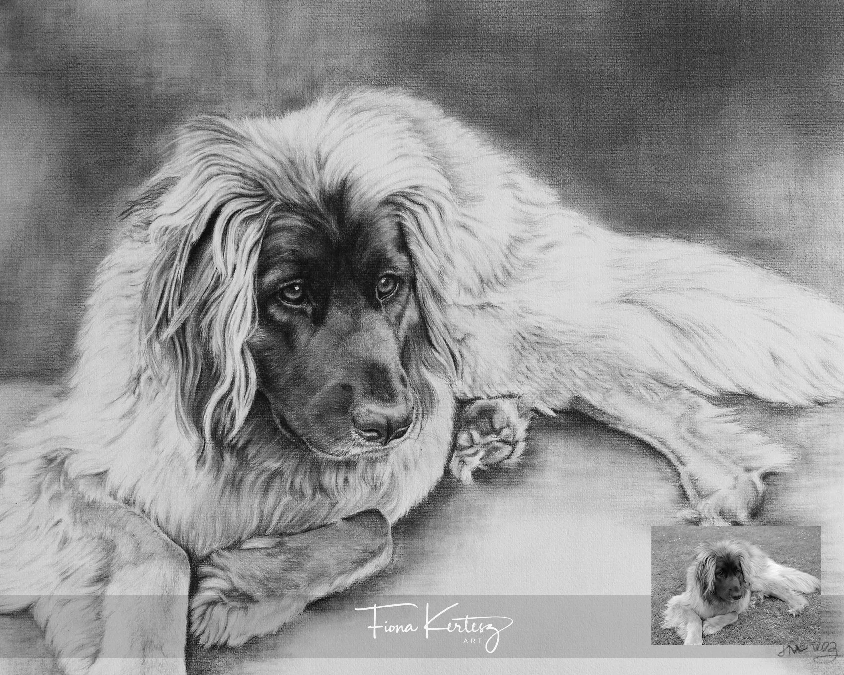 Belle, 20 x 16"