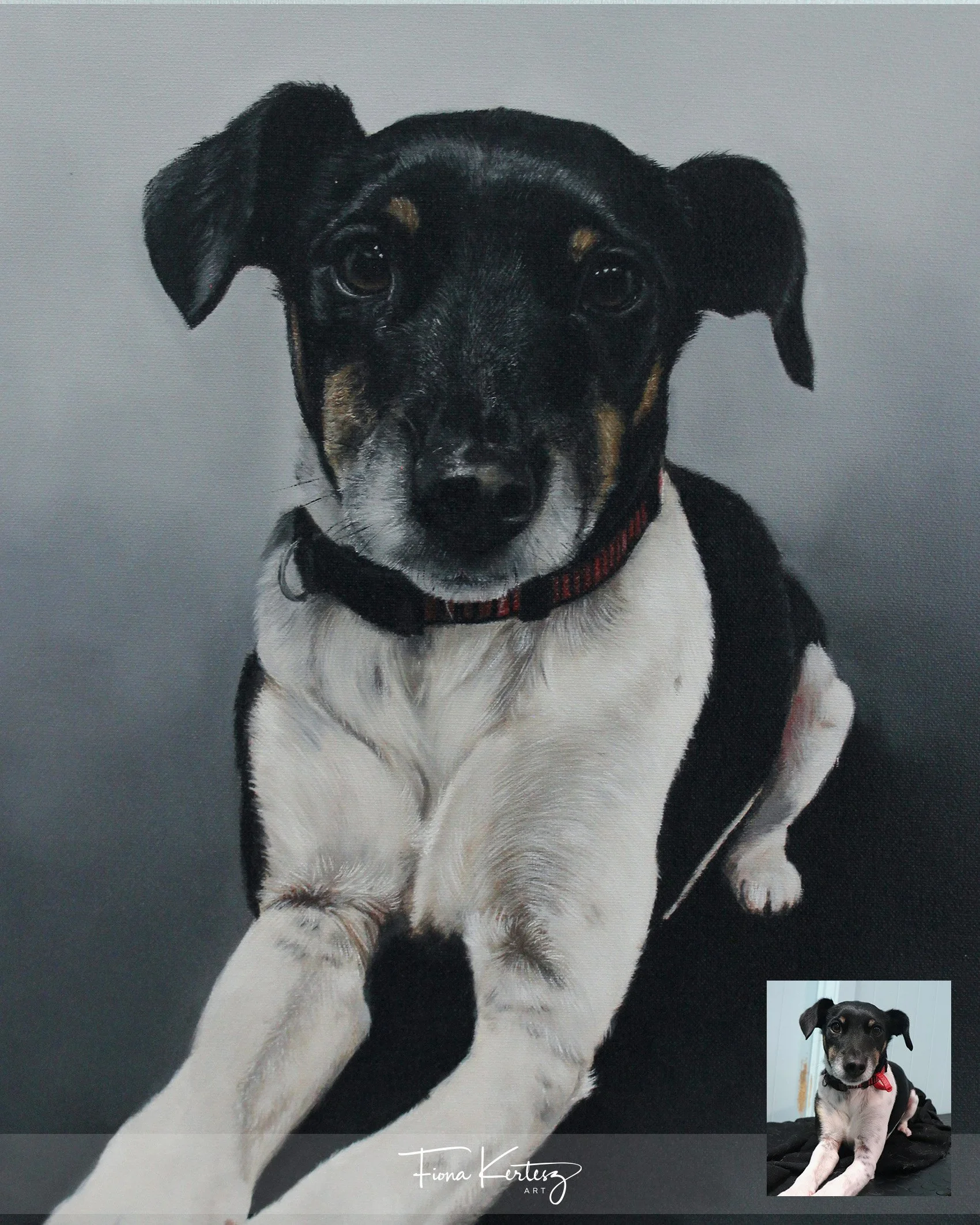 Billie, 12 x 14"