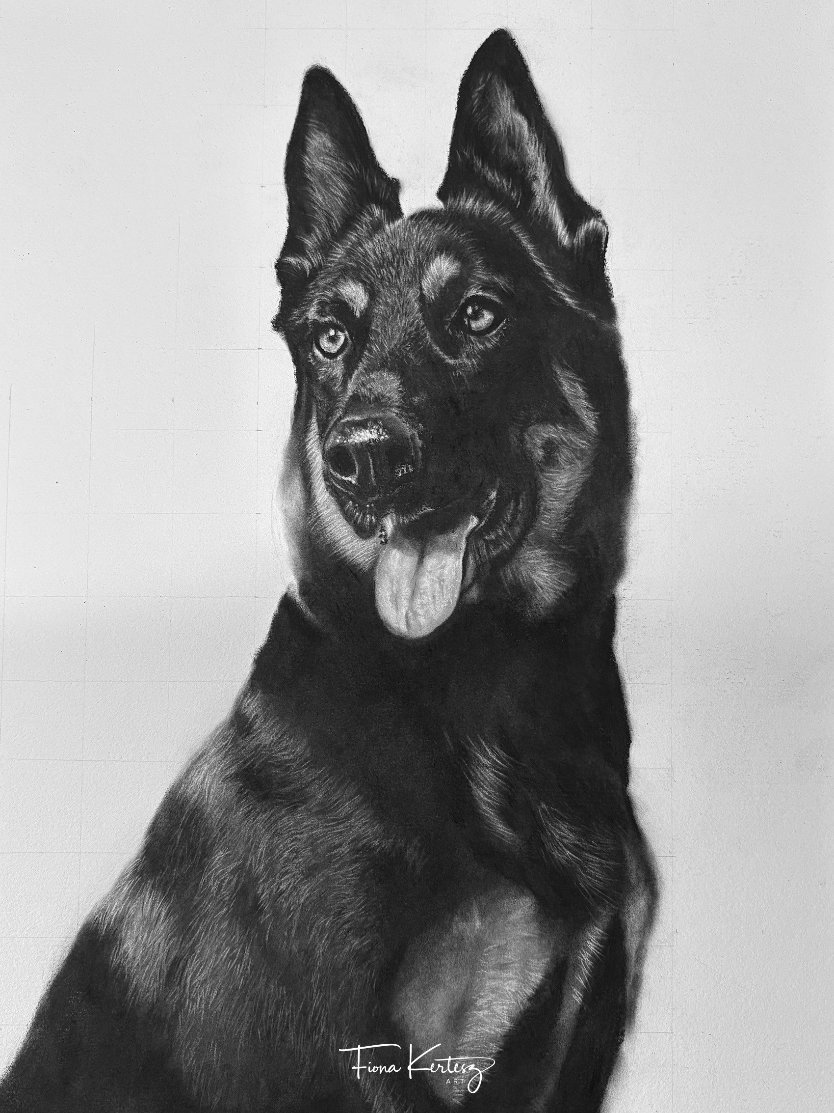 Stage 3 of charcoal portrait of Hugo, adding more face and body detail