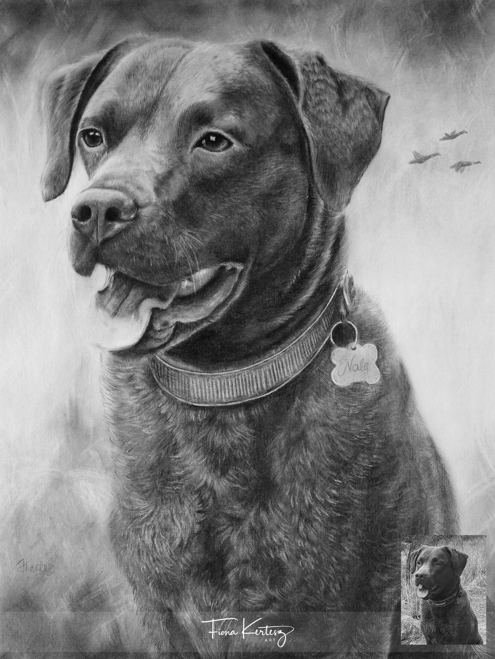Nala, 12 x 16"