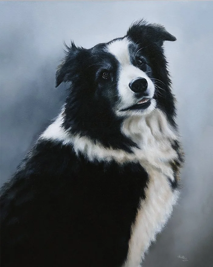 Oil painting of Clarence, the border collie, alongside his testimonial.
