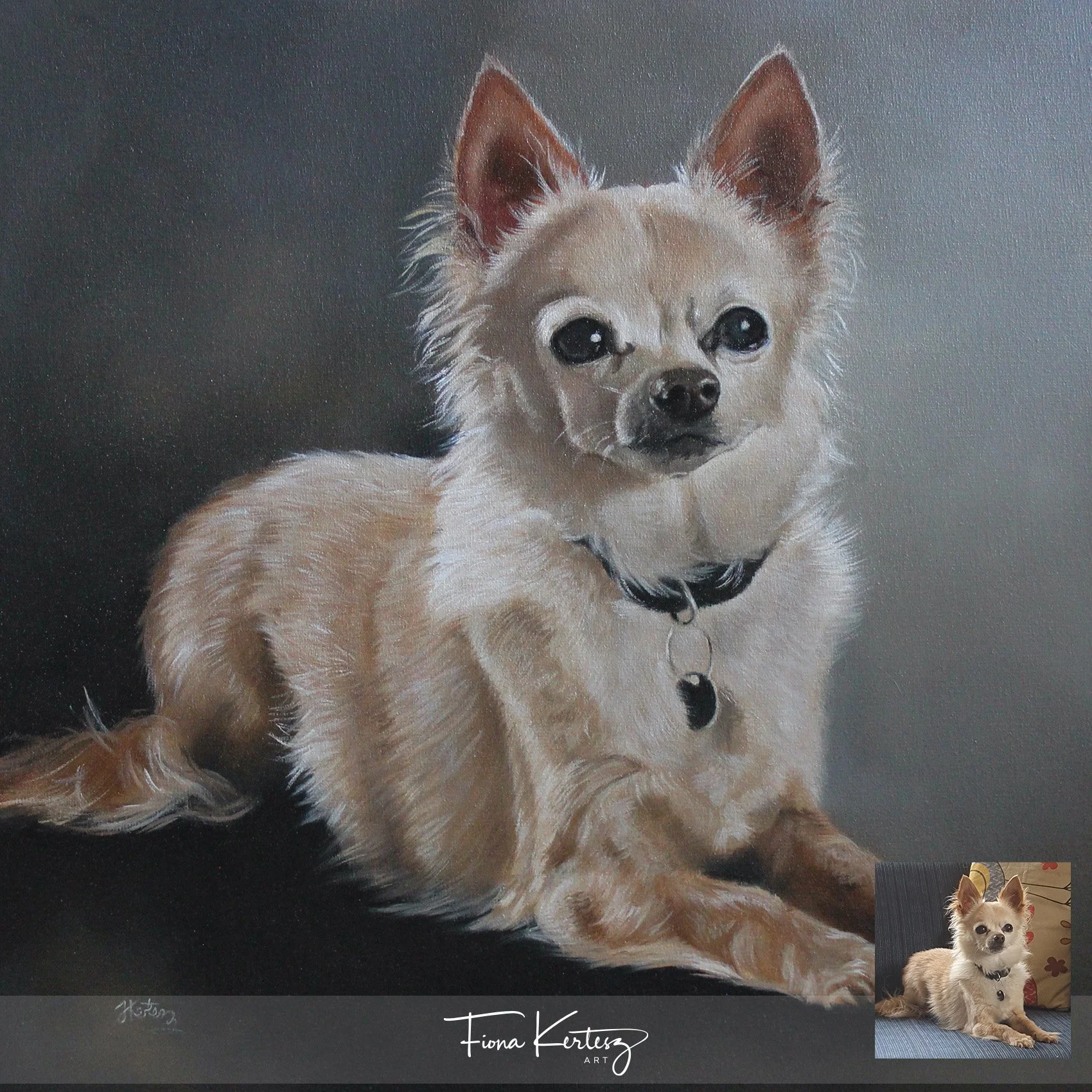 Cody, 12 x 12"