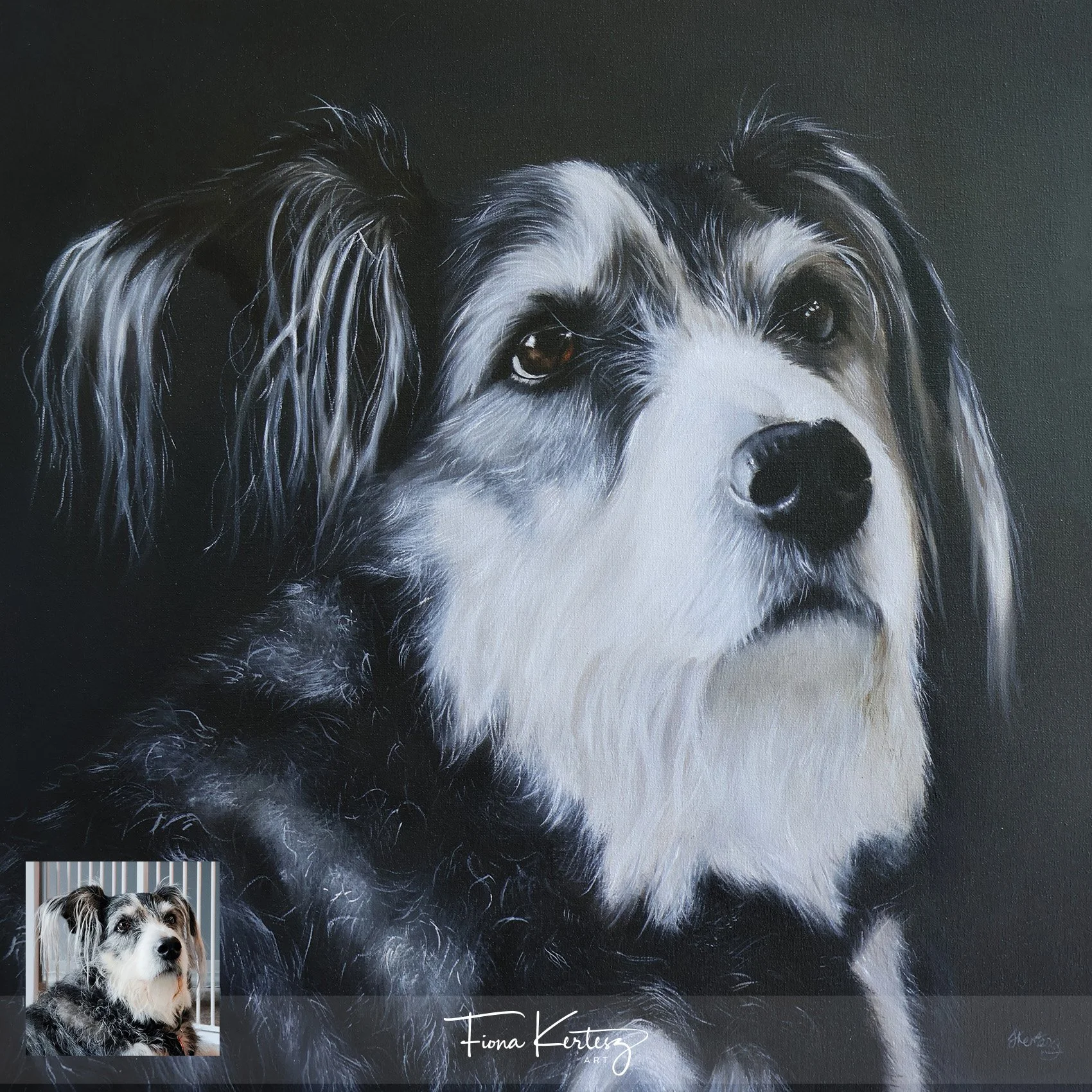 Zeus, 14 x 14"