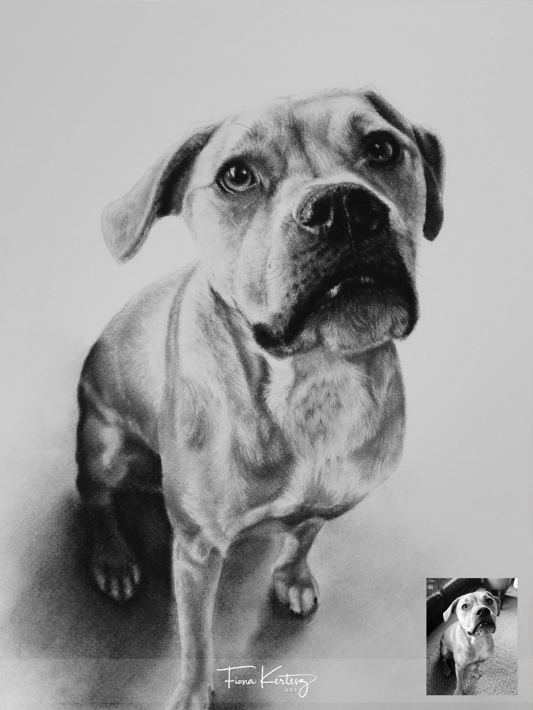 Dot, 16 x 12"