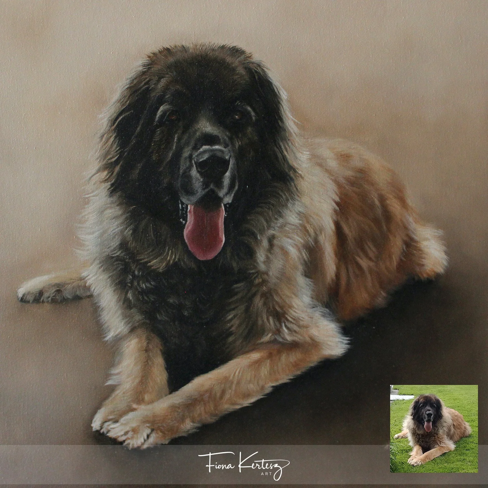 Mojo, 16 x 16"
