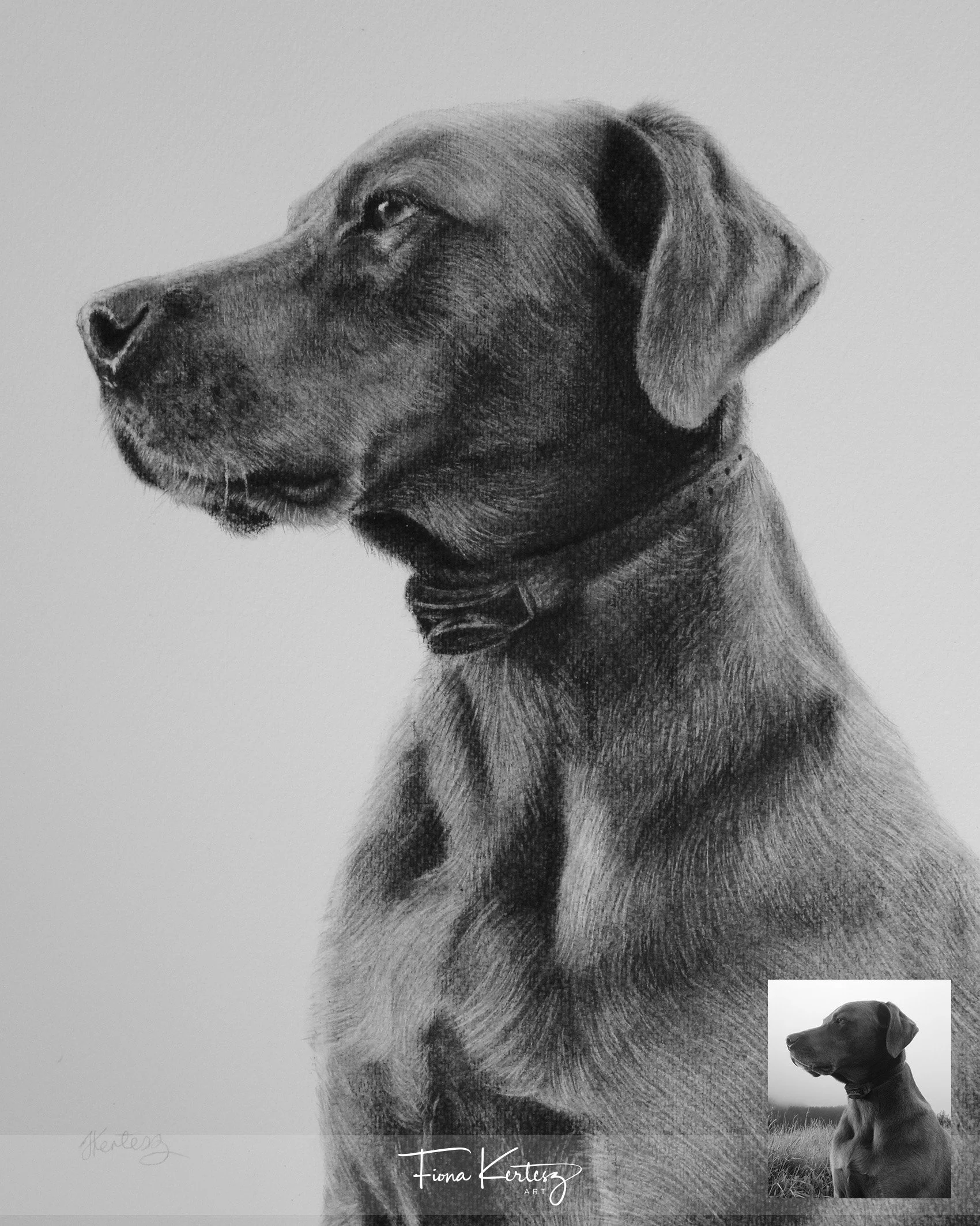 Gunner, 10 x 12"