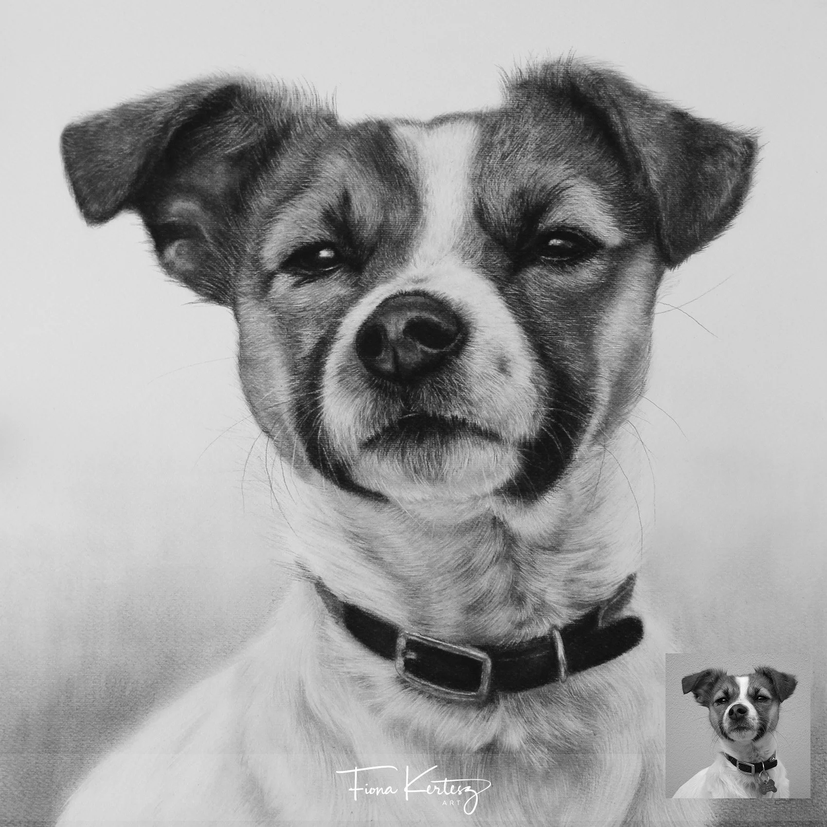 Flossie, 16 x 16"