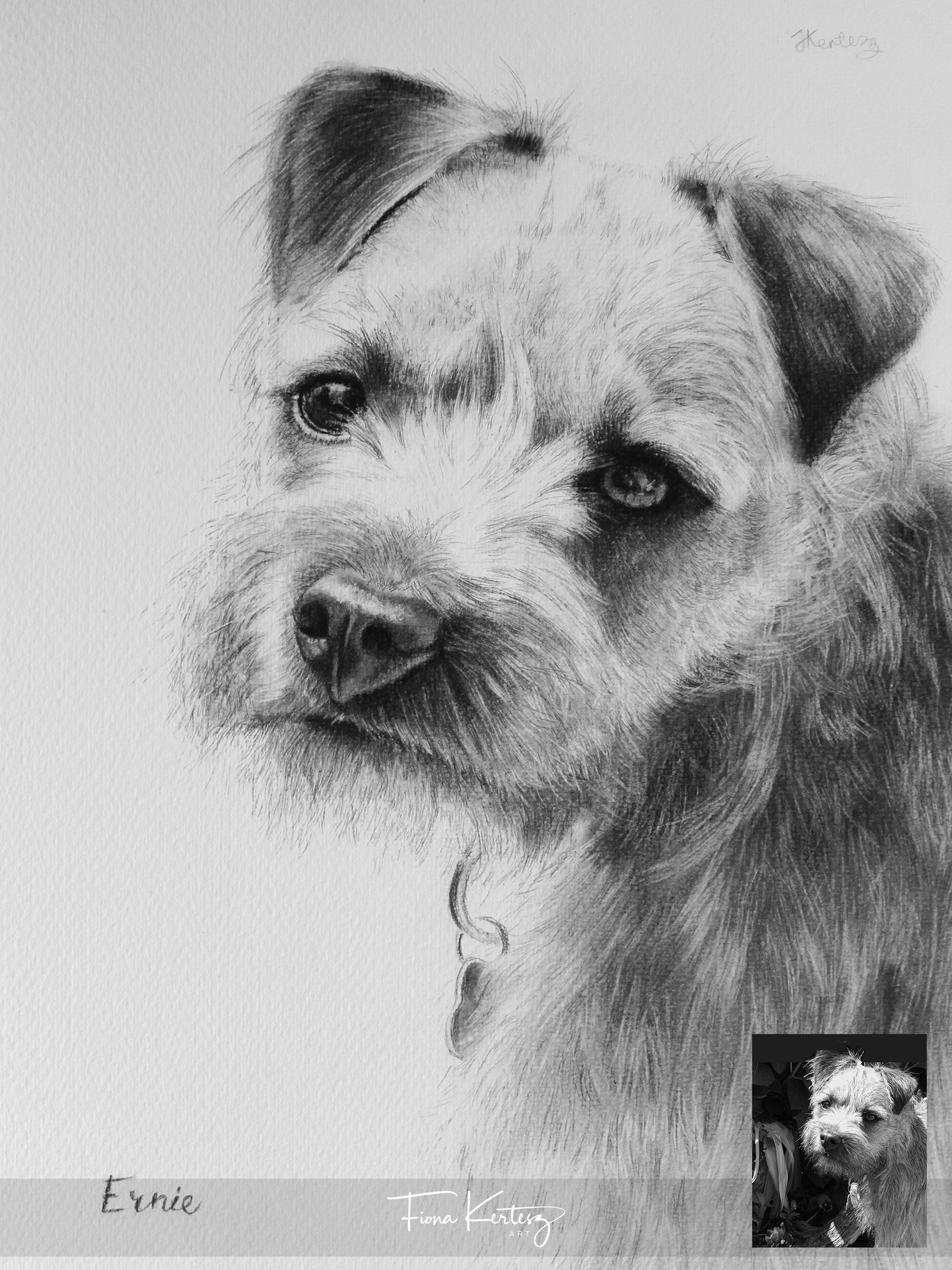 Ernie, 10 x 12"