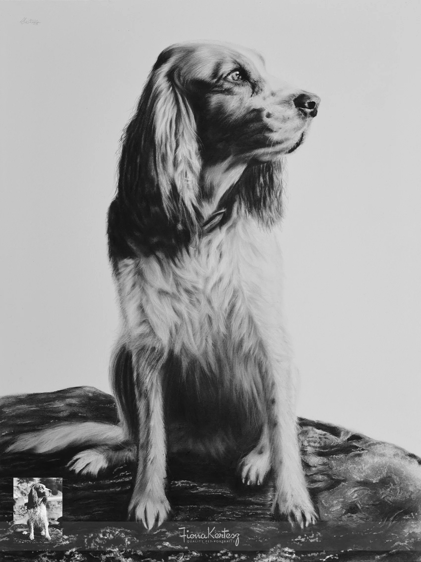 Luda, 12 x 16 "
