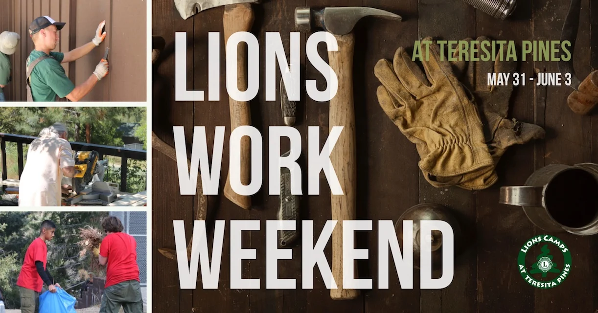 Lions work Weekend Copy12.jpg