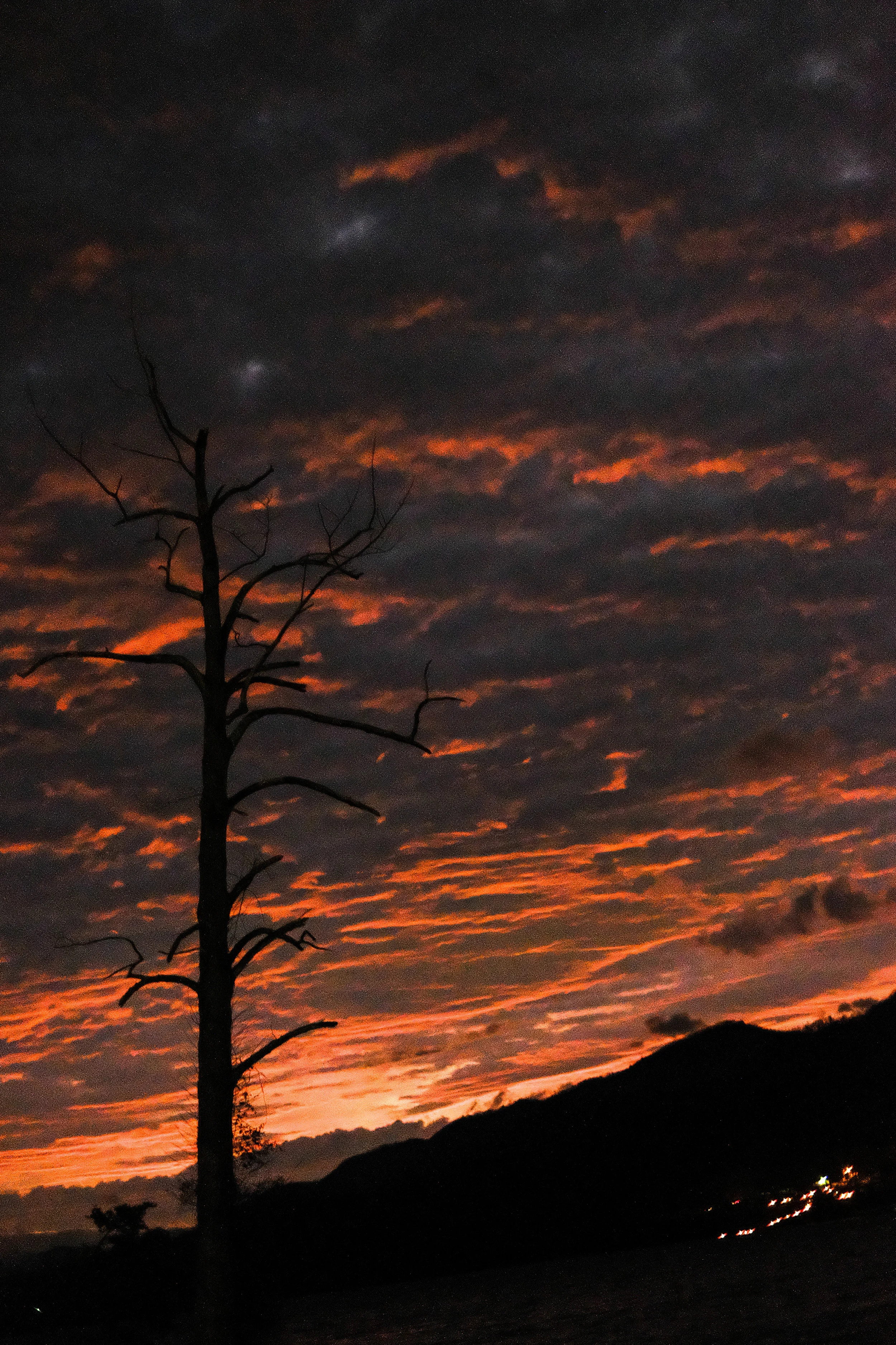 DSCF3252.jpg
