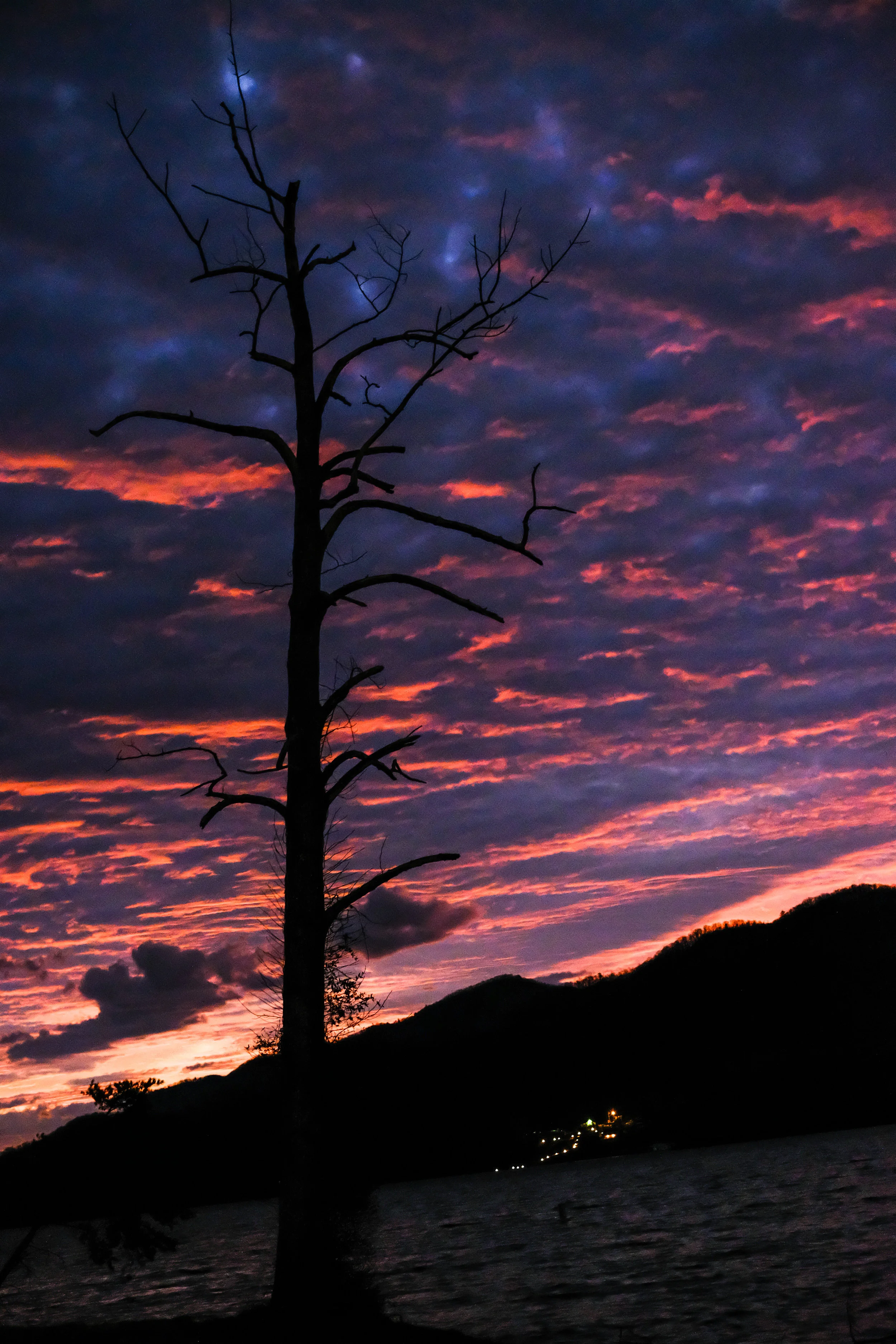 DSCF3255.jpg