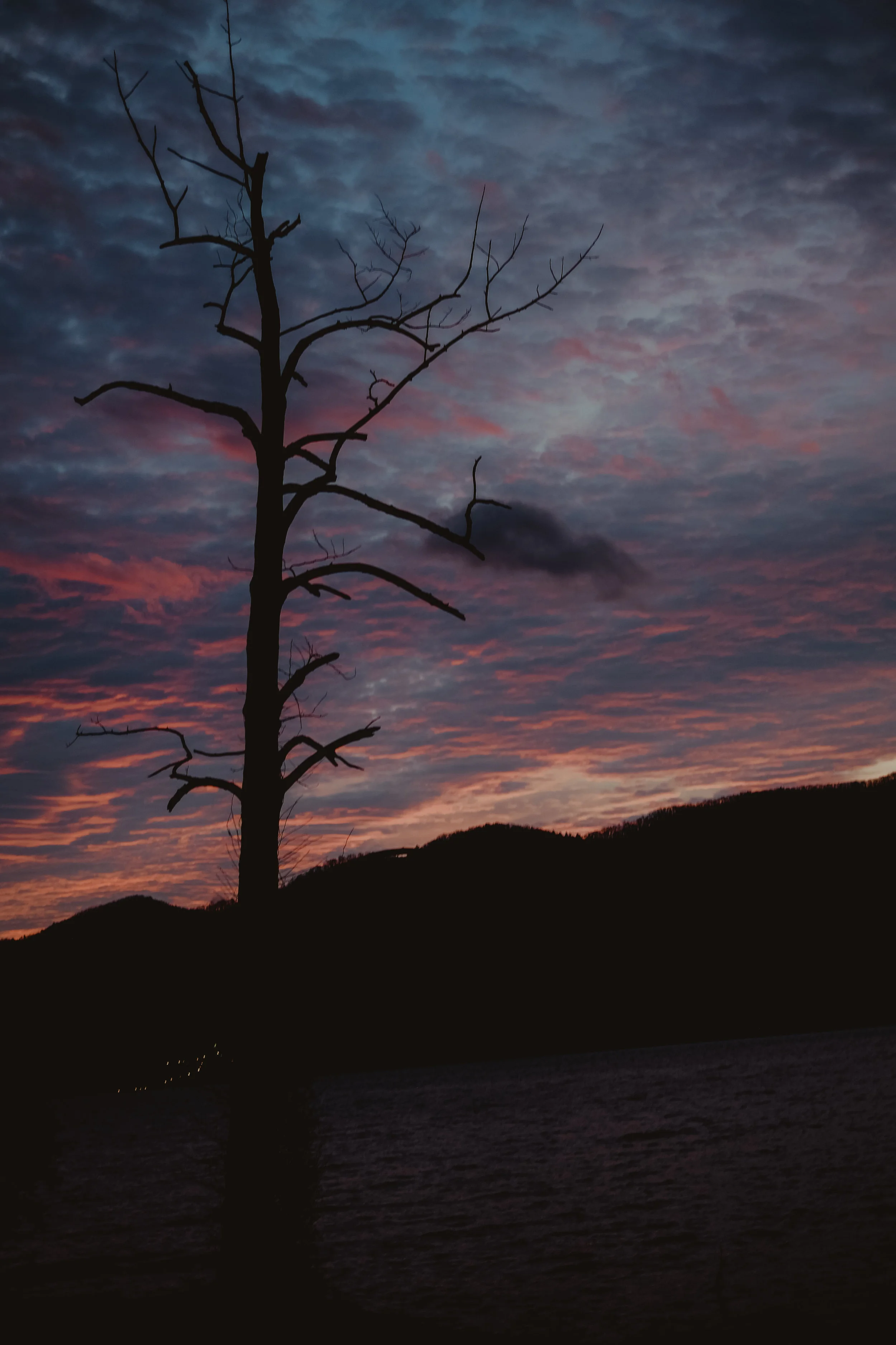 DSCF3298.jpg