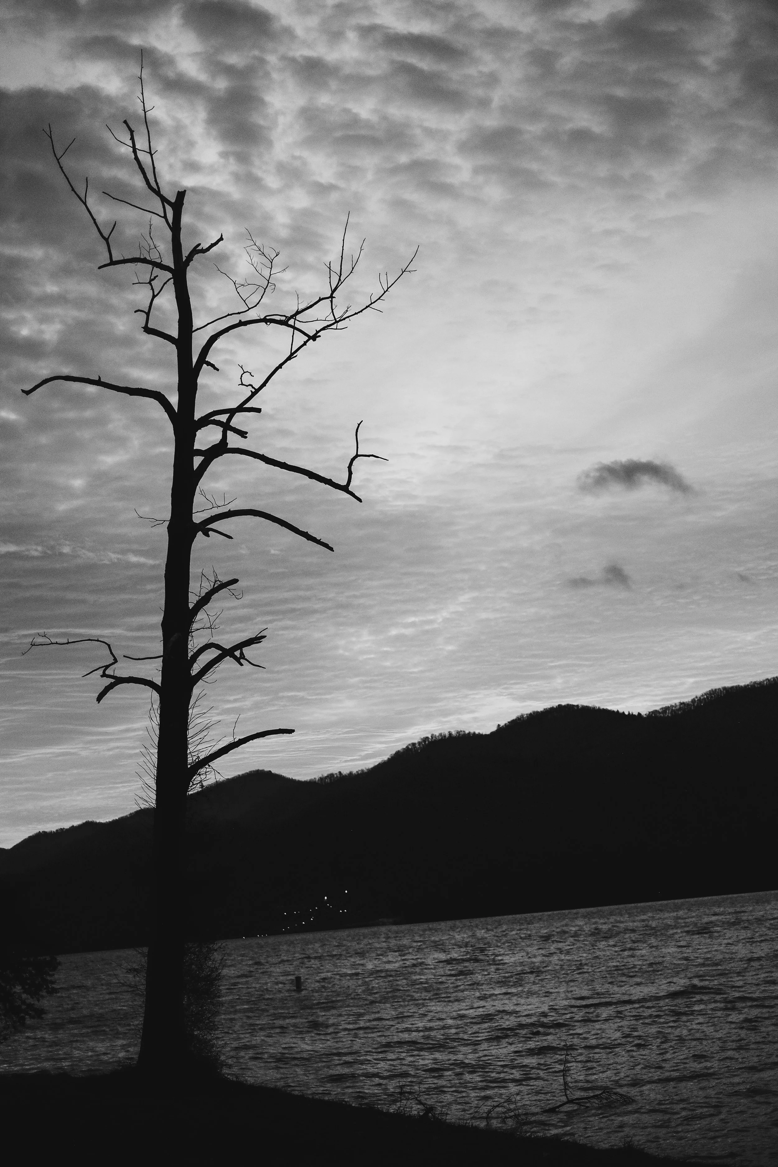 DSCF3313.jpg