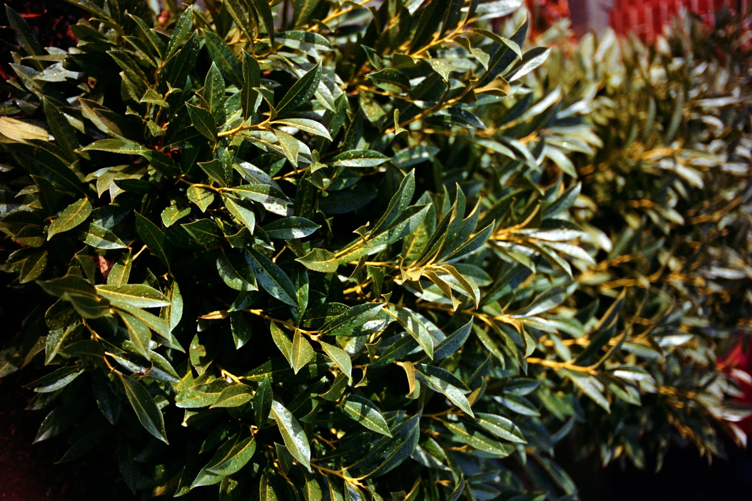 P1104237.jpg