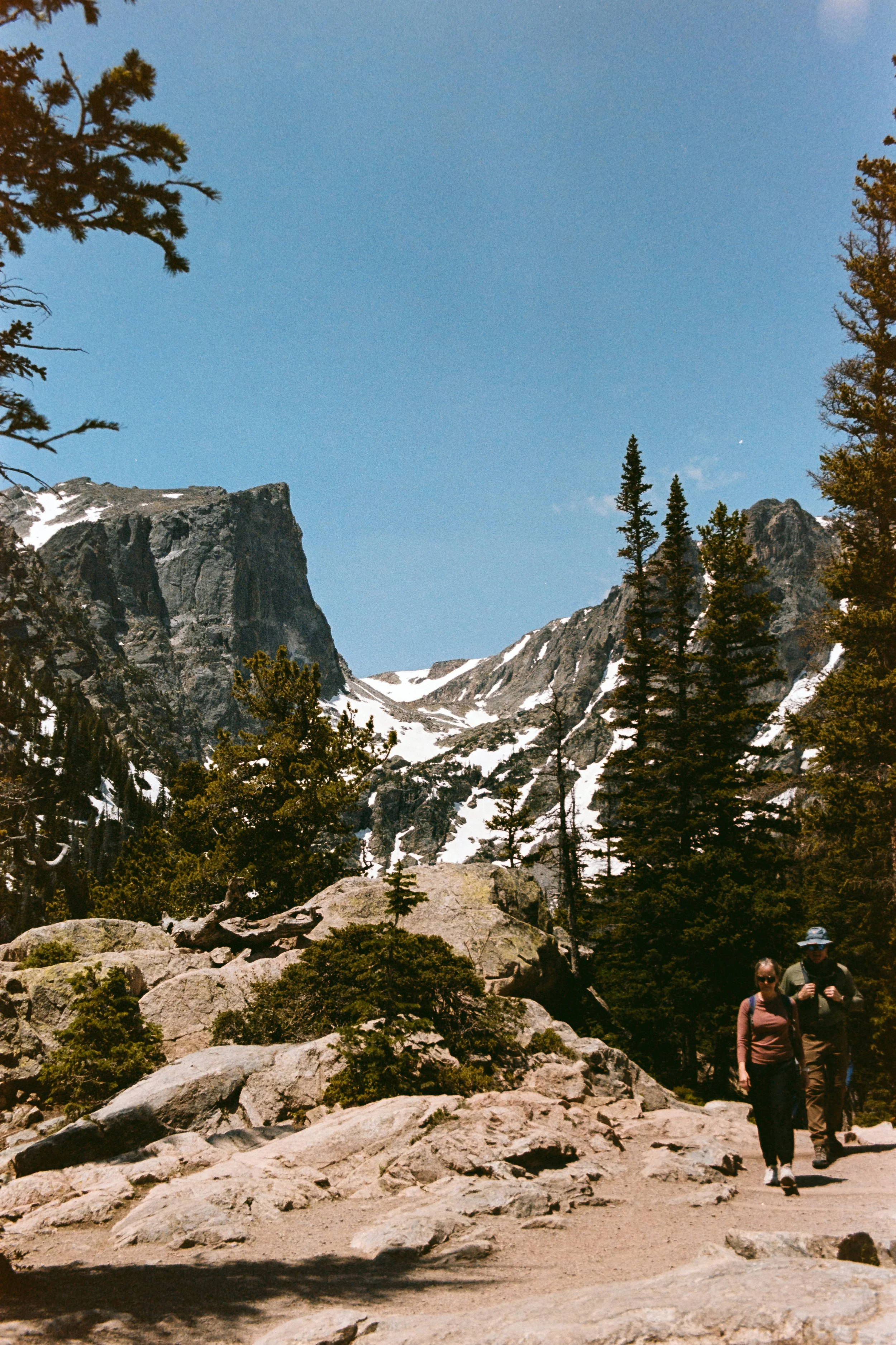 P1104159.jpg