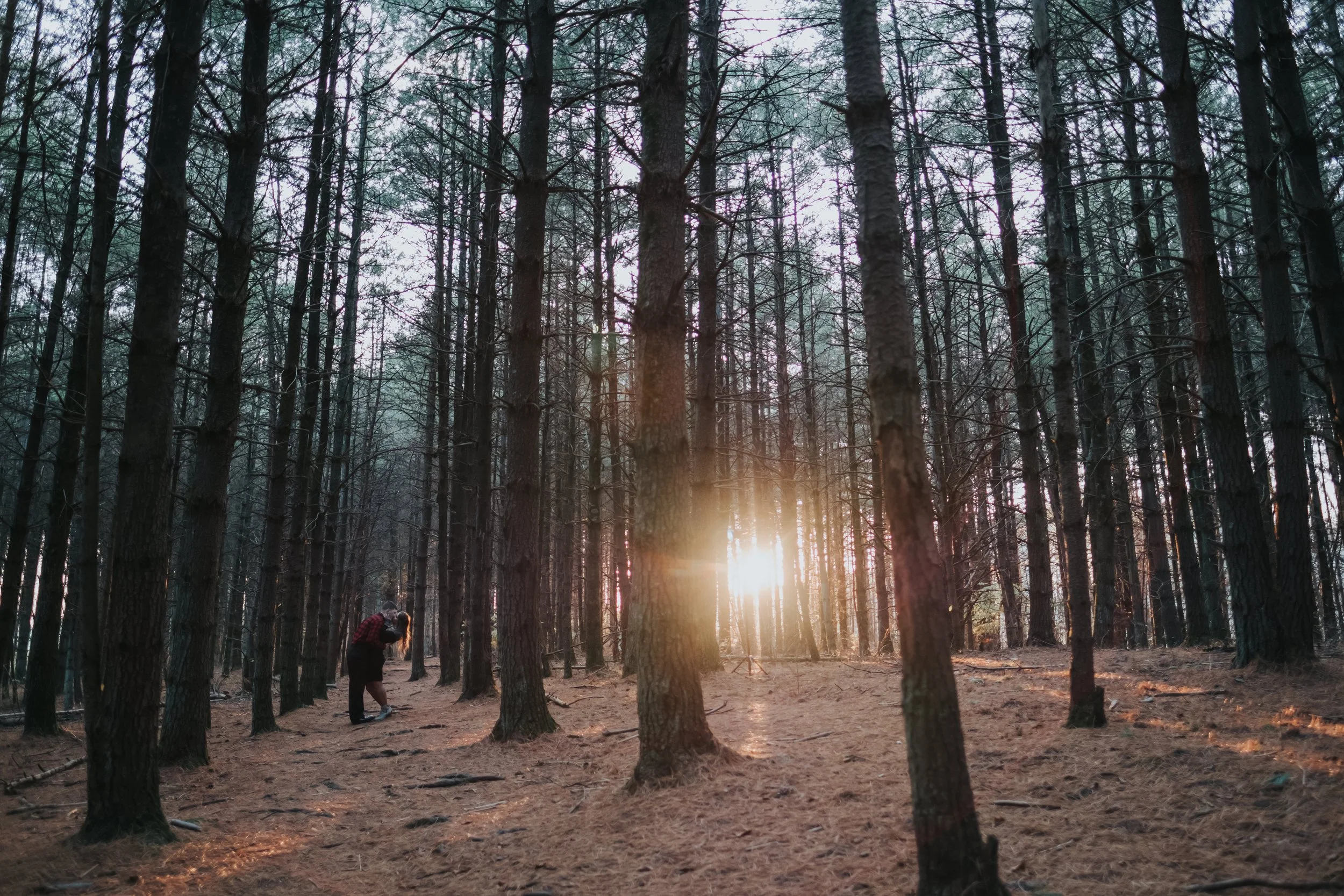 A person wearing a red checkered jacket and black pants taking a photo in a dense forest with tall, thin pine trees during sunset.