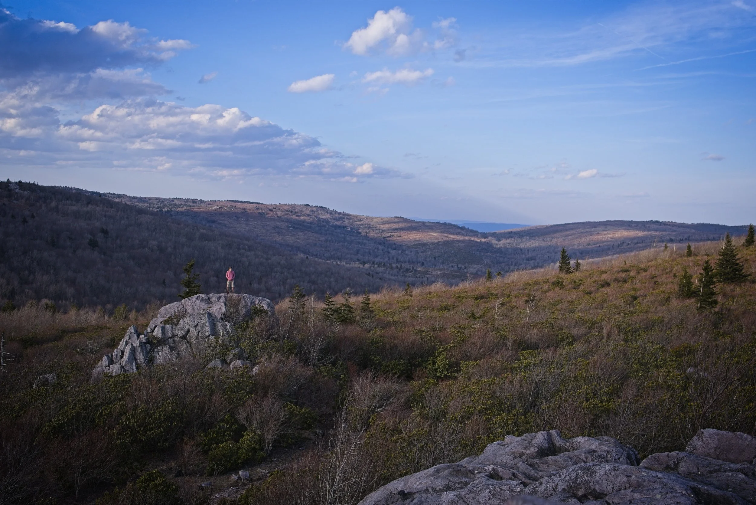 DSC_5488.jpg