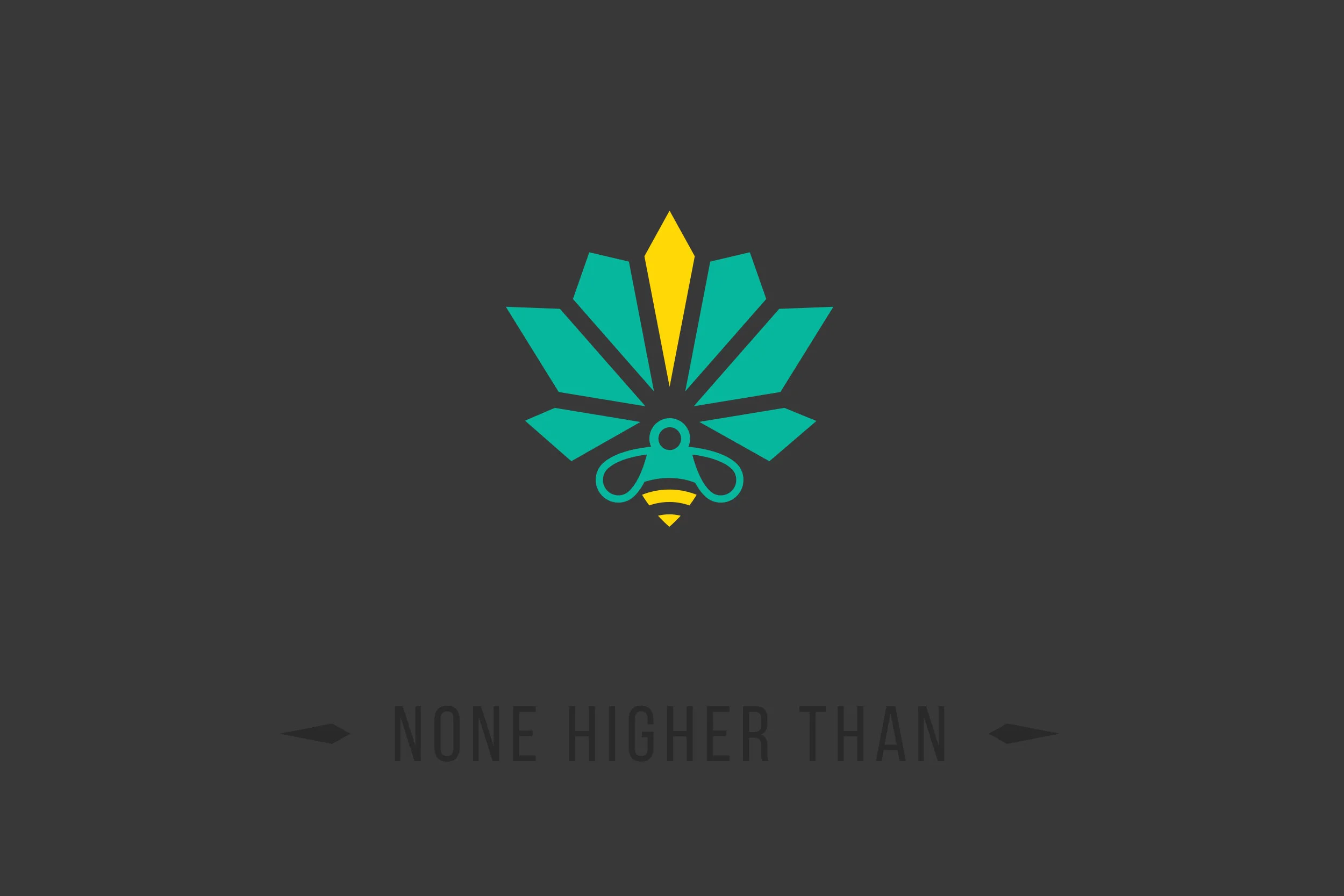 None Higher Than