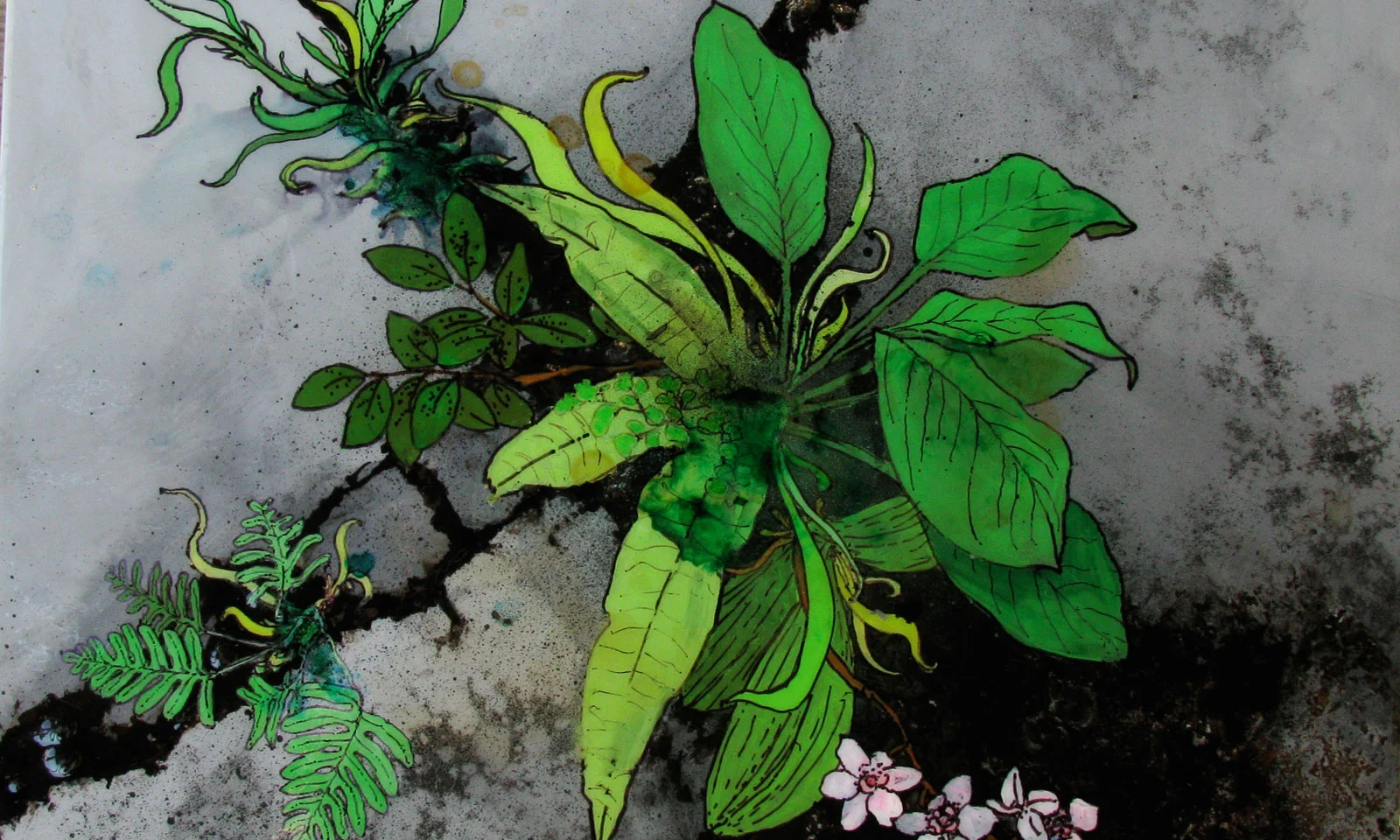 ap_greenthumbseries_vinyl_6.jpg