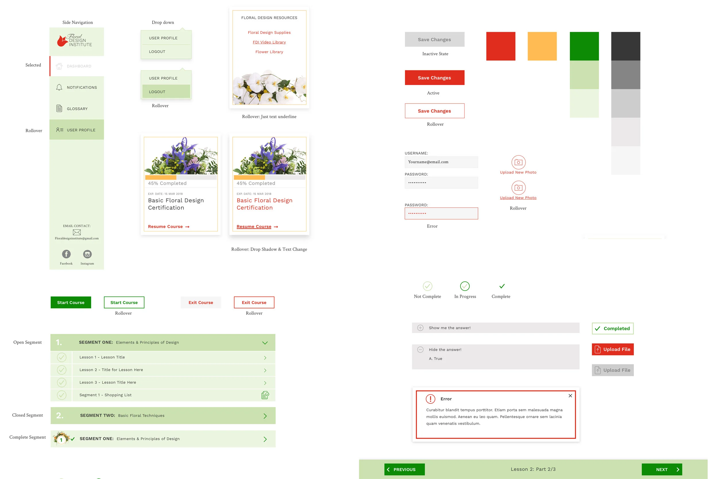 Design Boards • Brand Exploration