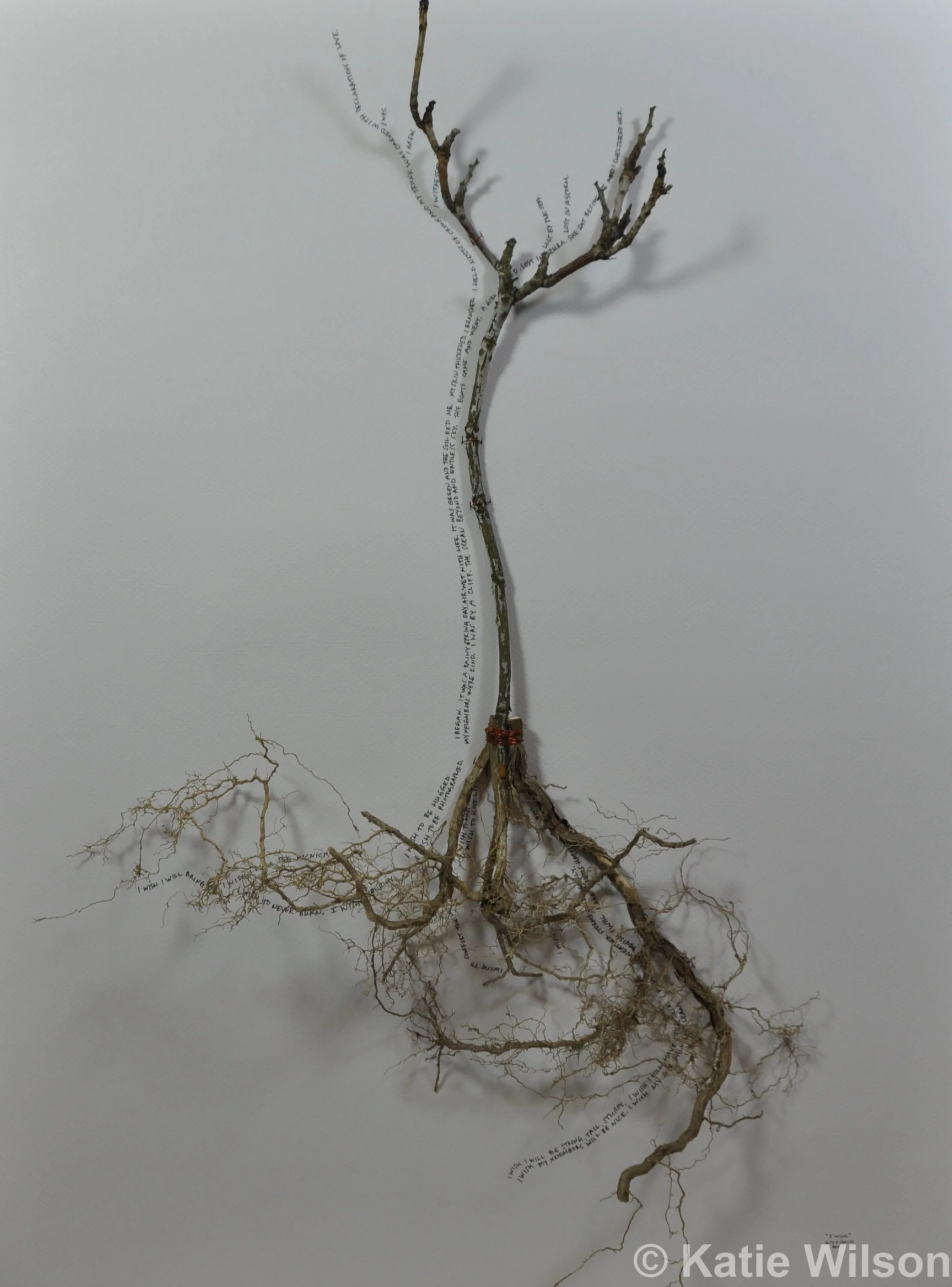 I Wish, 2017&nbsp; &nbsp; 19" x 25"