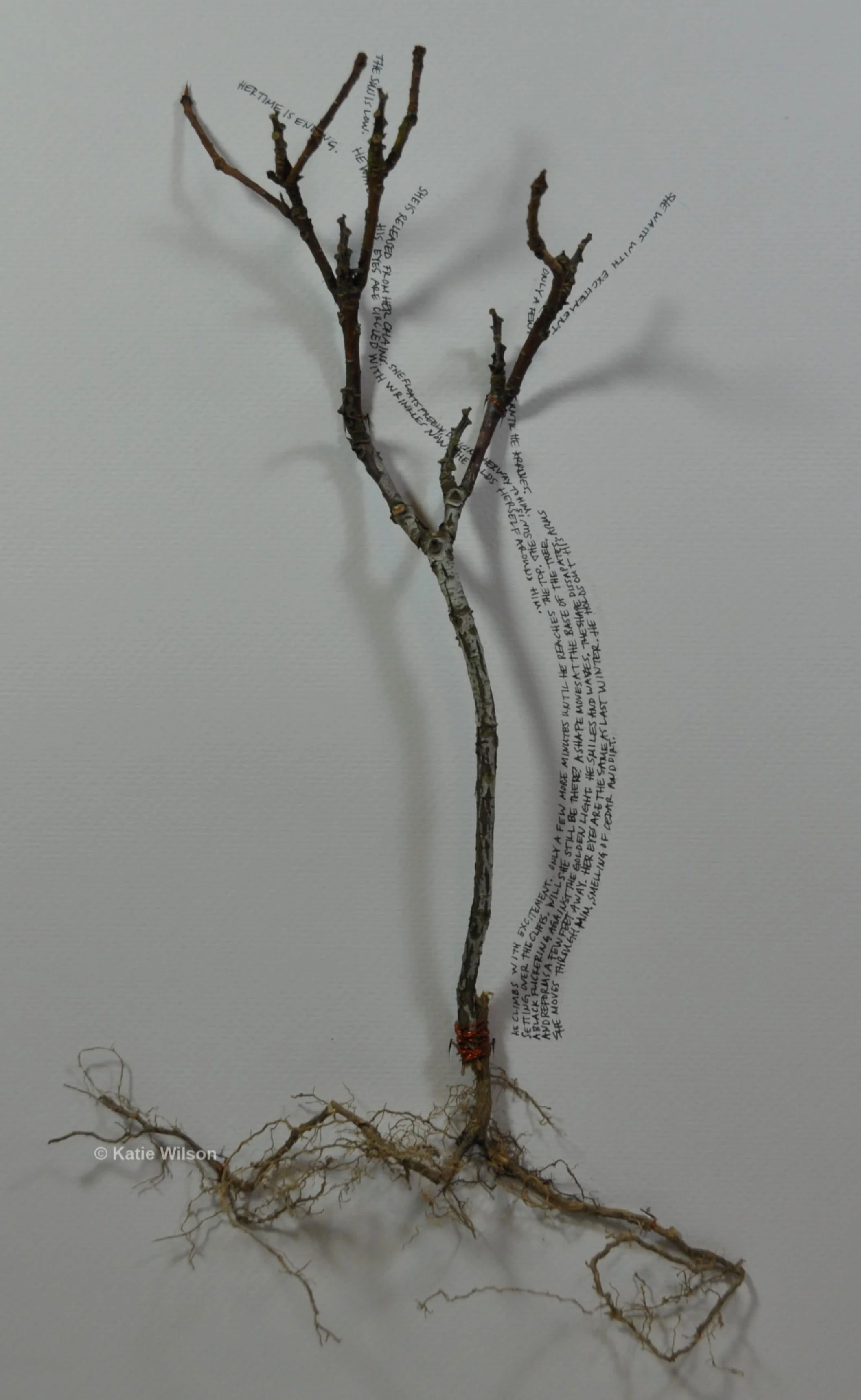 Switching Shadows, 2017&nbsp; &nbsp; 19" x 25"