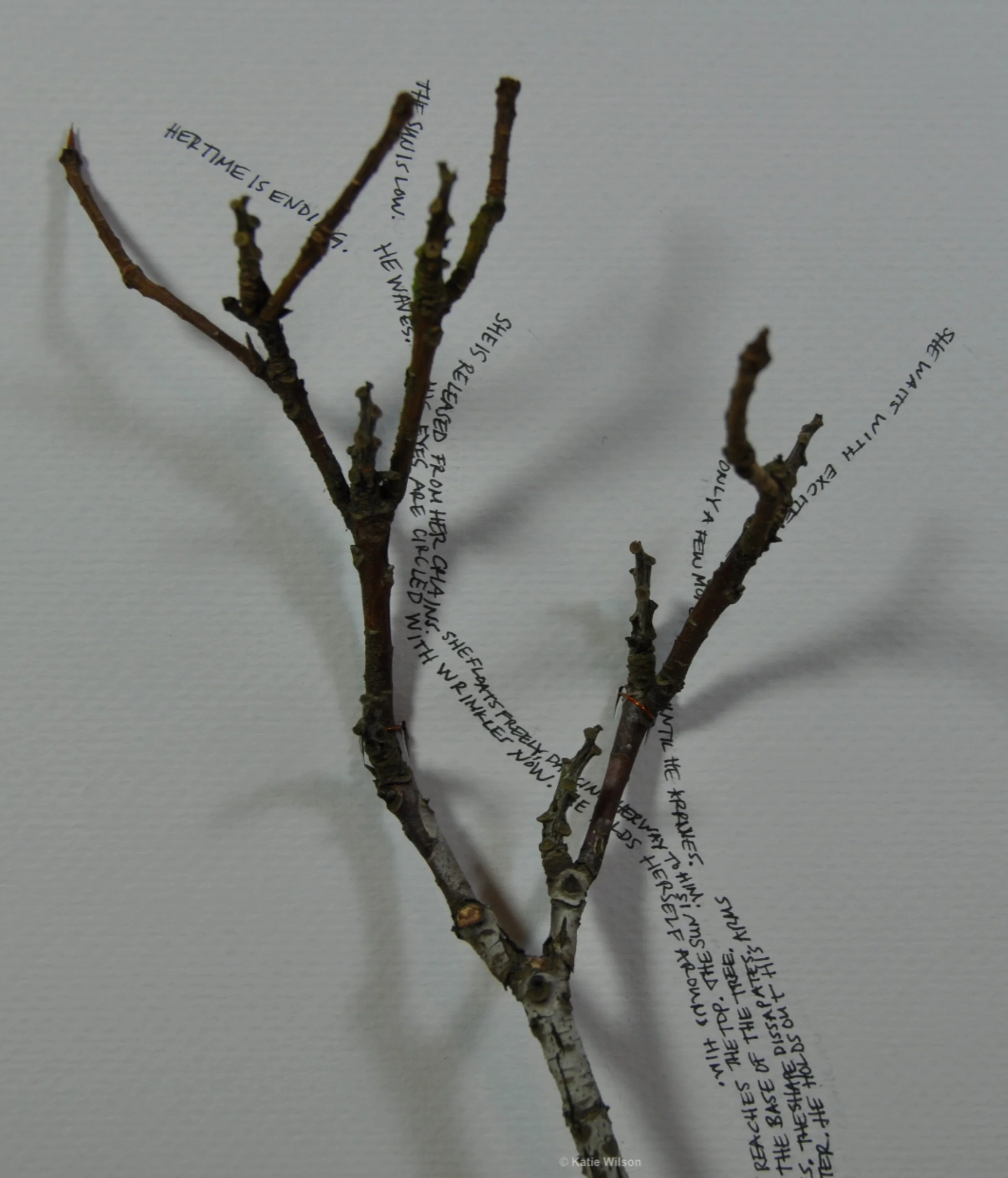 Switching Shadows, detail