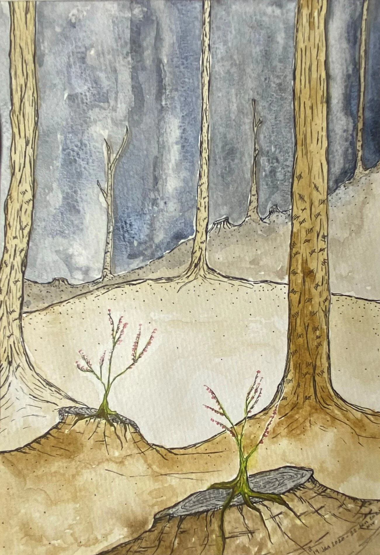 19 Jan 2020 - 22 Jan 2021