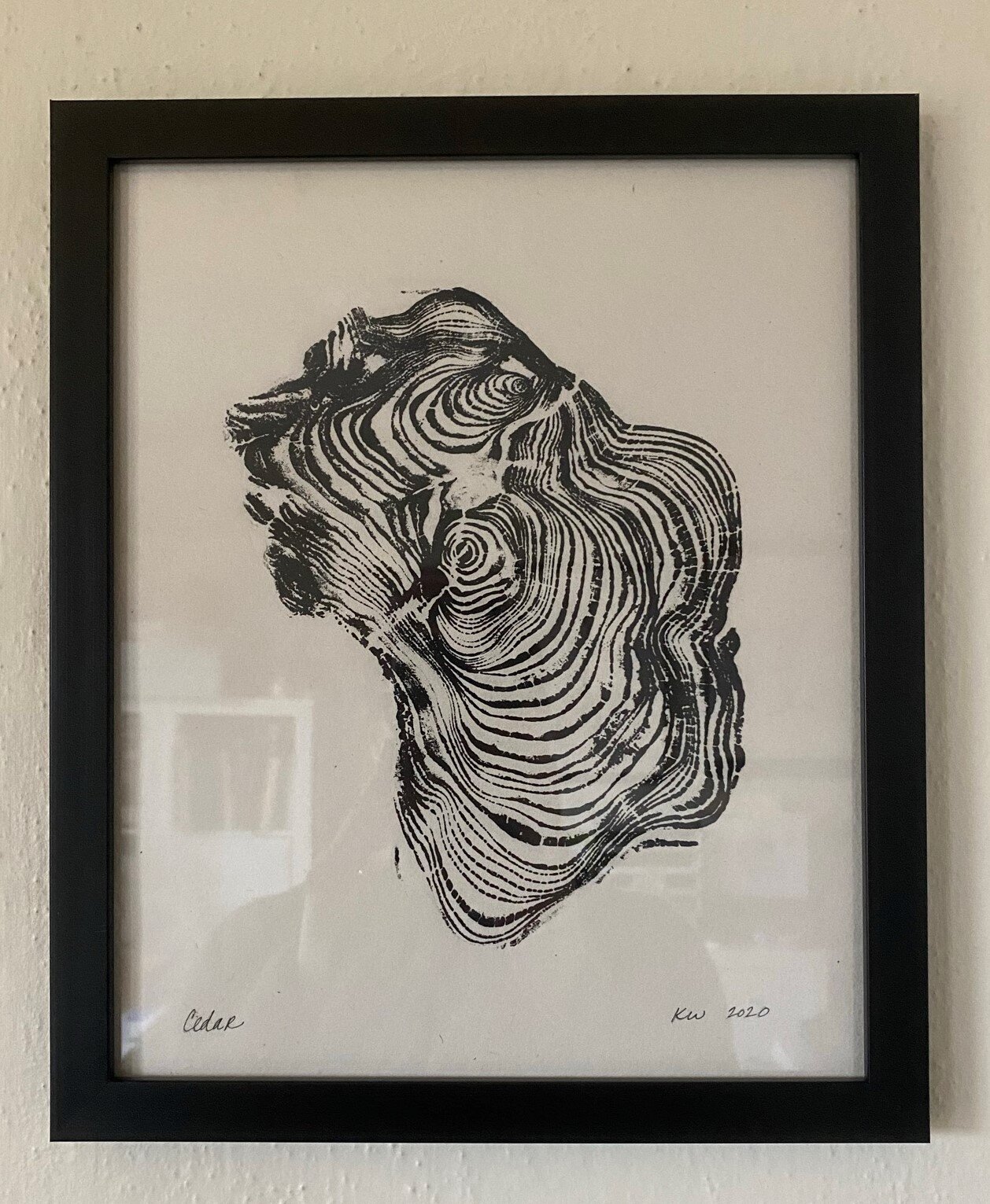 Cedar