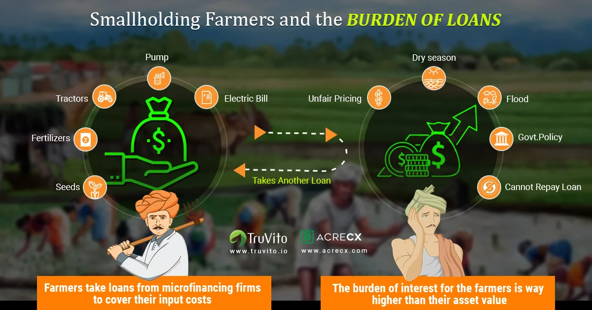 Smallholding Farmers_d.jpg